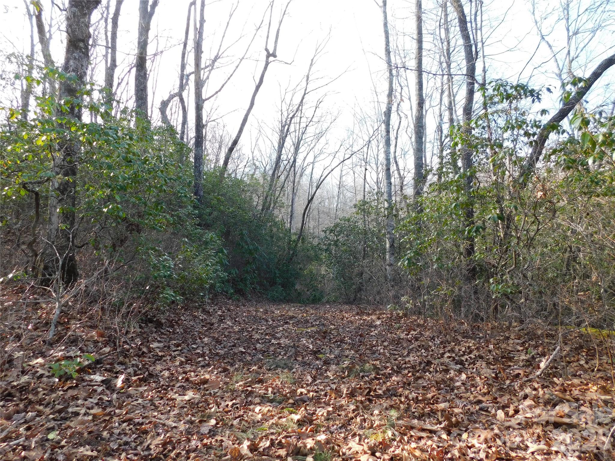 Big Hill - Land