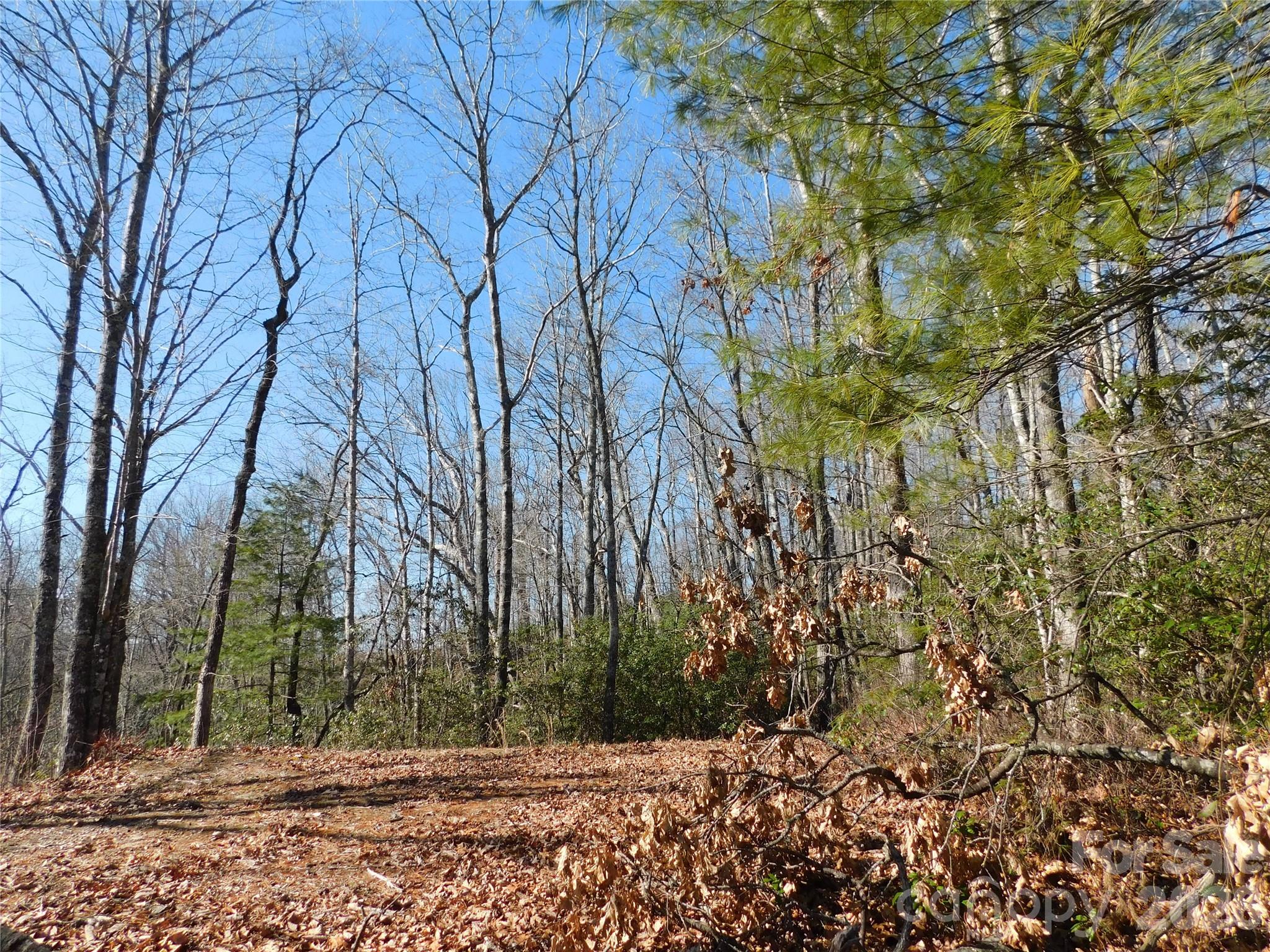 Big Hill - Land