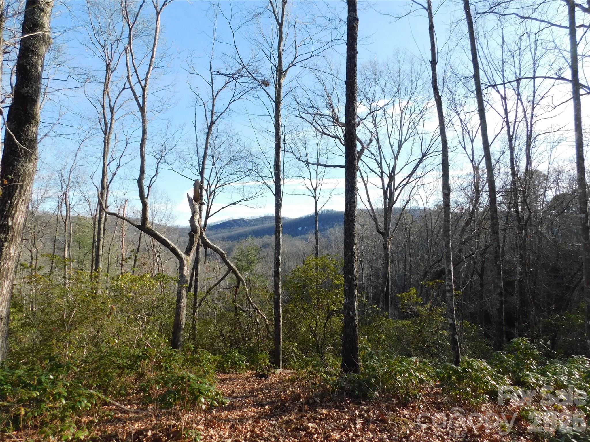 Big Hill - Land