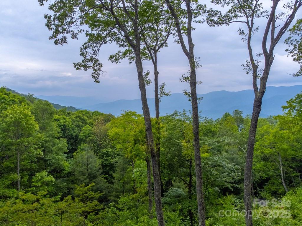 Balsam Mountain Preserve - Residential