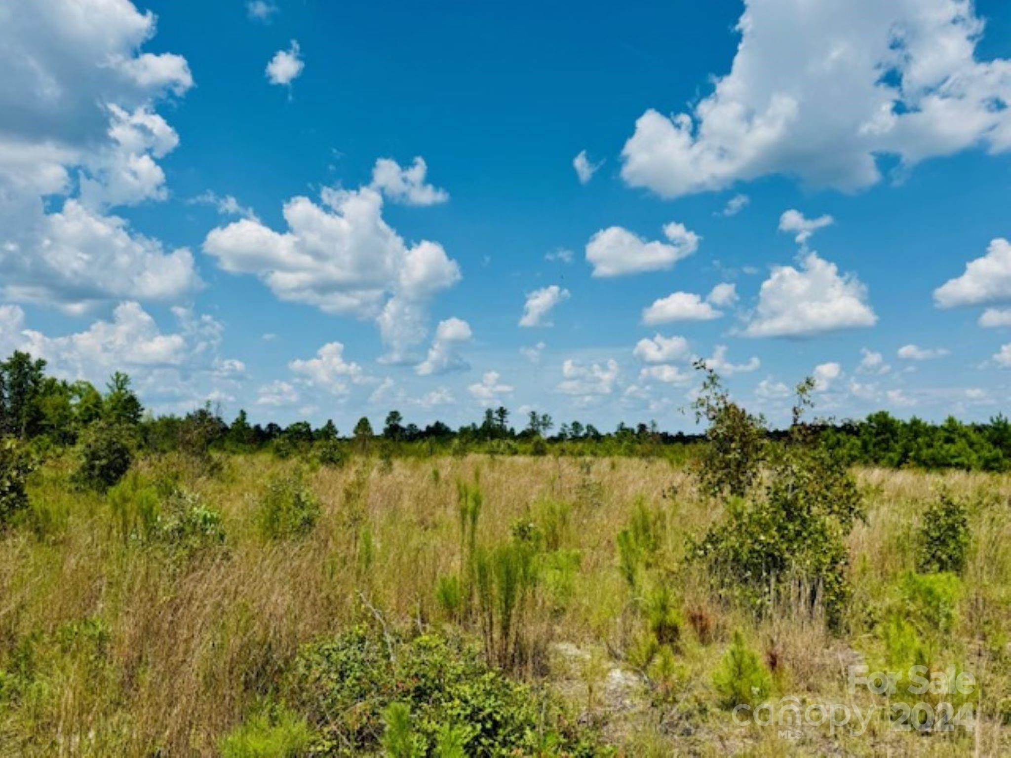 Big acreage!!   Land was timbered two years ago. Could be easily cleared of the scrub brush and used the hunting, space to roam, private estate, etc.  County water and electric.  Over 3600' of road frontage allow ample access into this property.