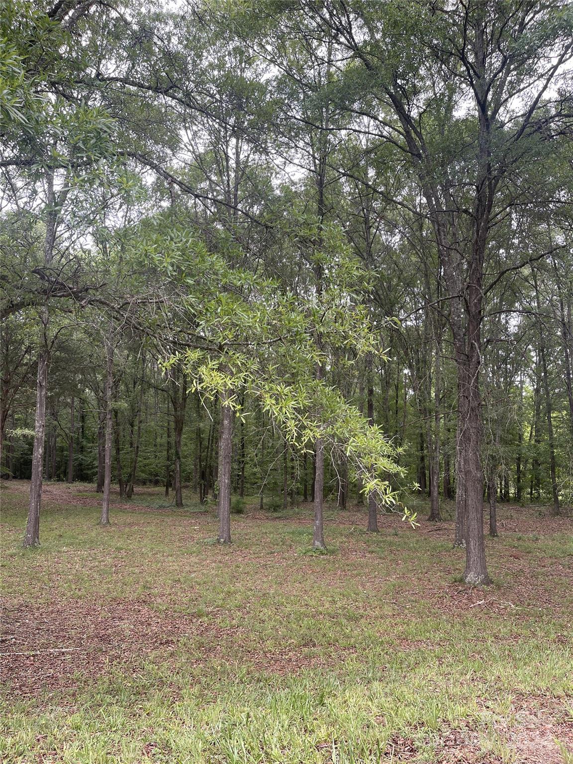 If you're looking for a quick commute to I-77, look no further. This 1 acre wooded lot is just minutes from the interstate. It's in an established neighborhood with a country setting. This will be perfect for you to build your dream home.