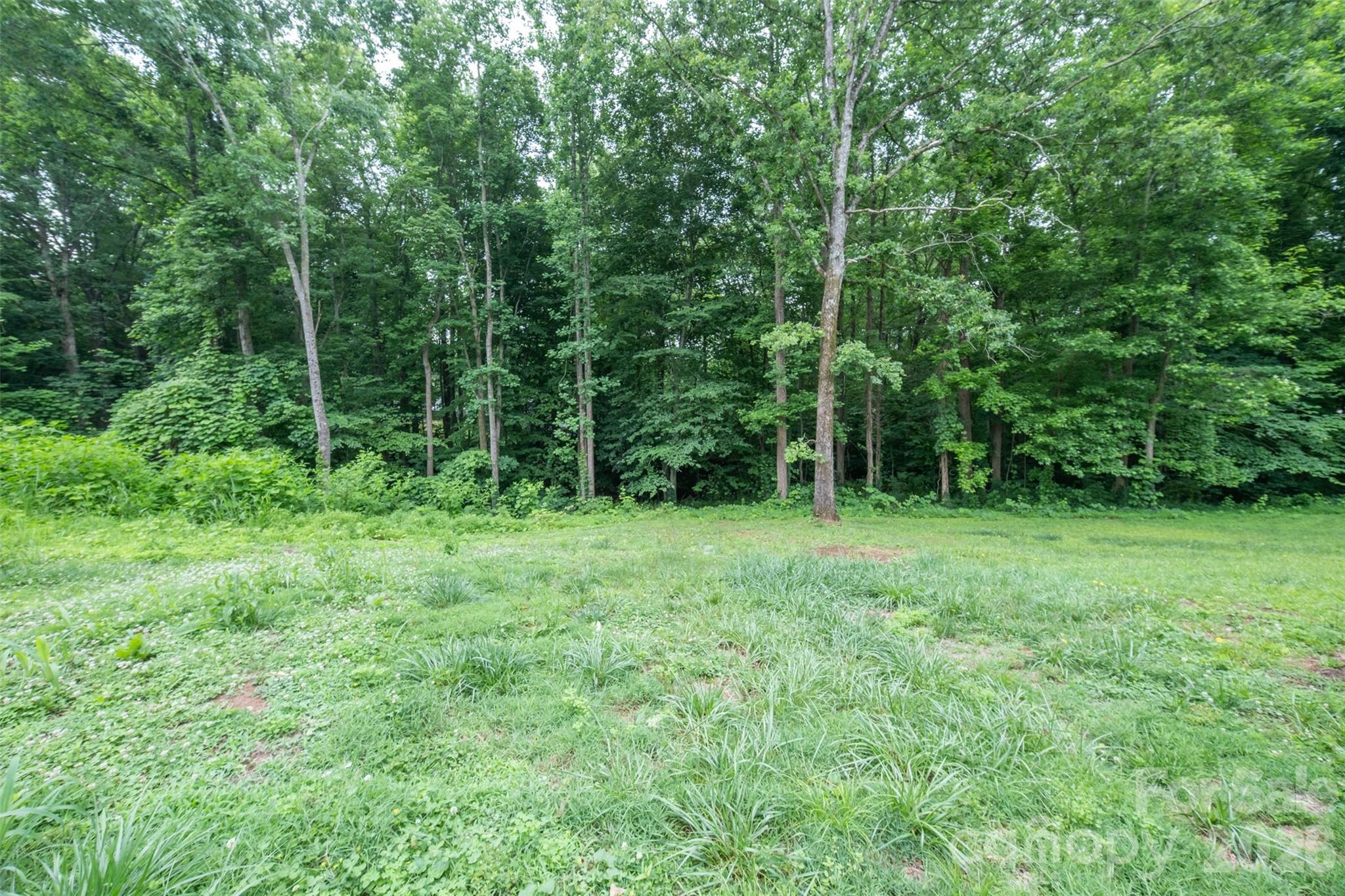 Forest Acres - Residential