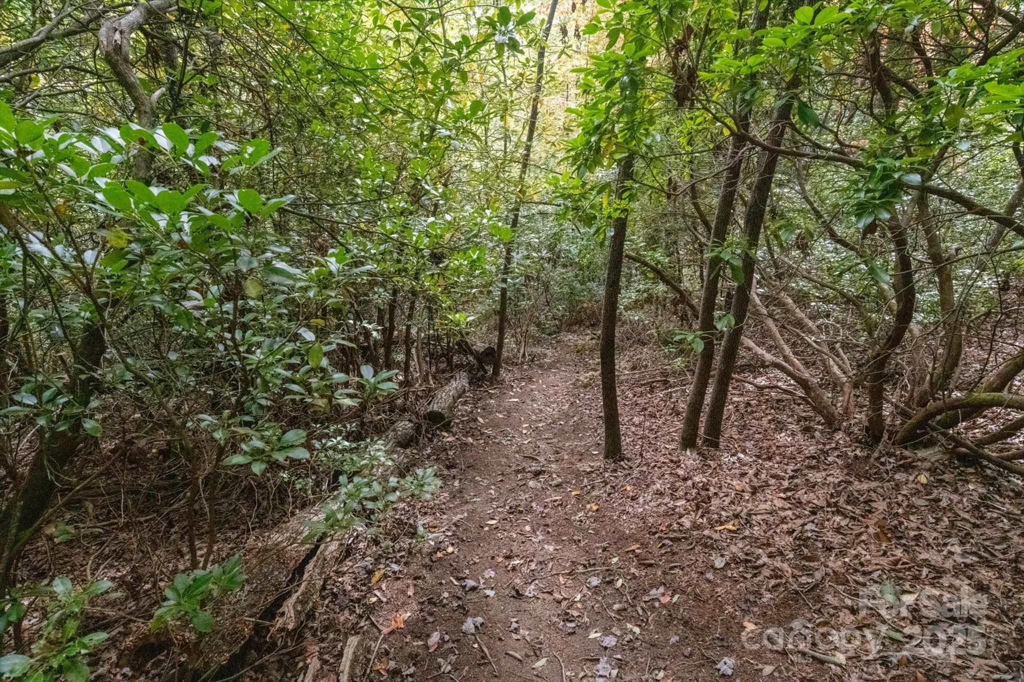 Straus Park - Land