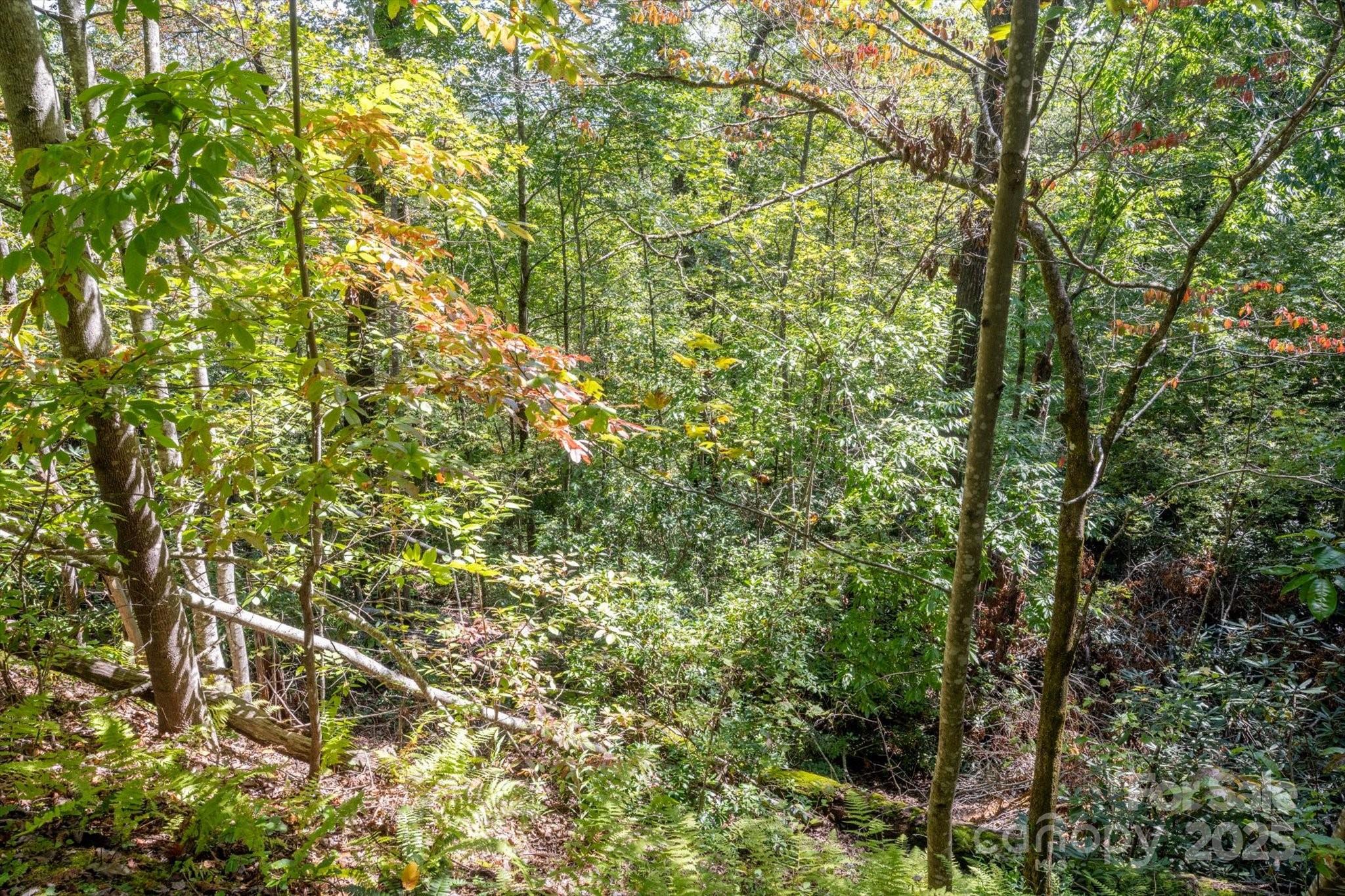 Straus Park - Land