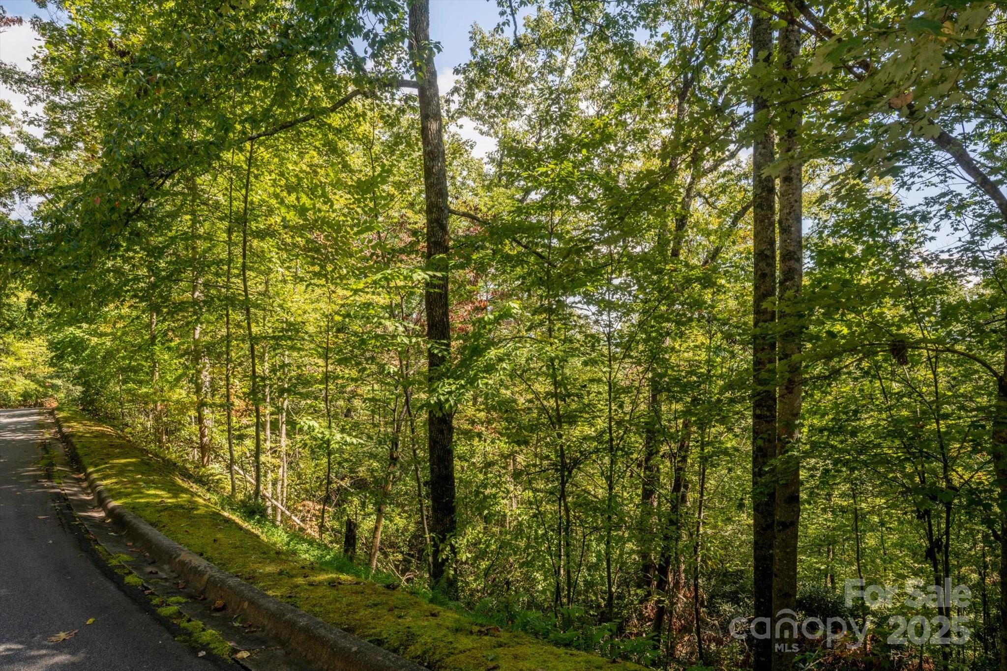 Straus Park - Land
