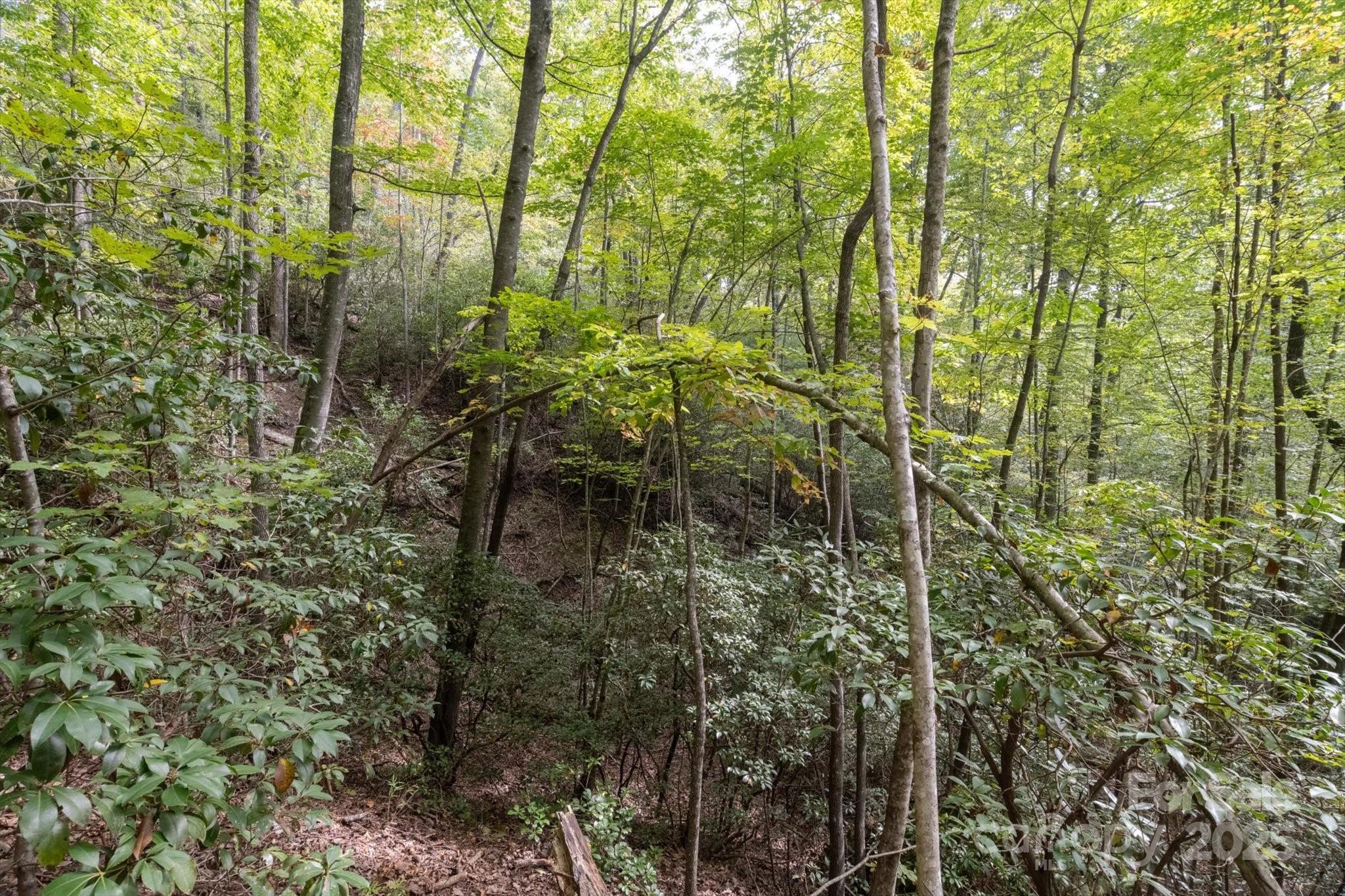 Straus Park - Land
