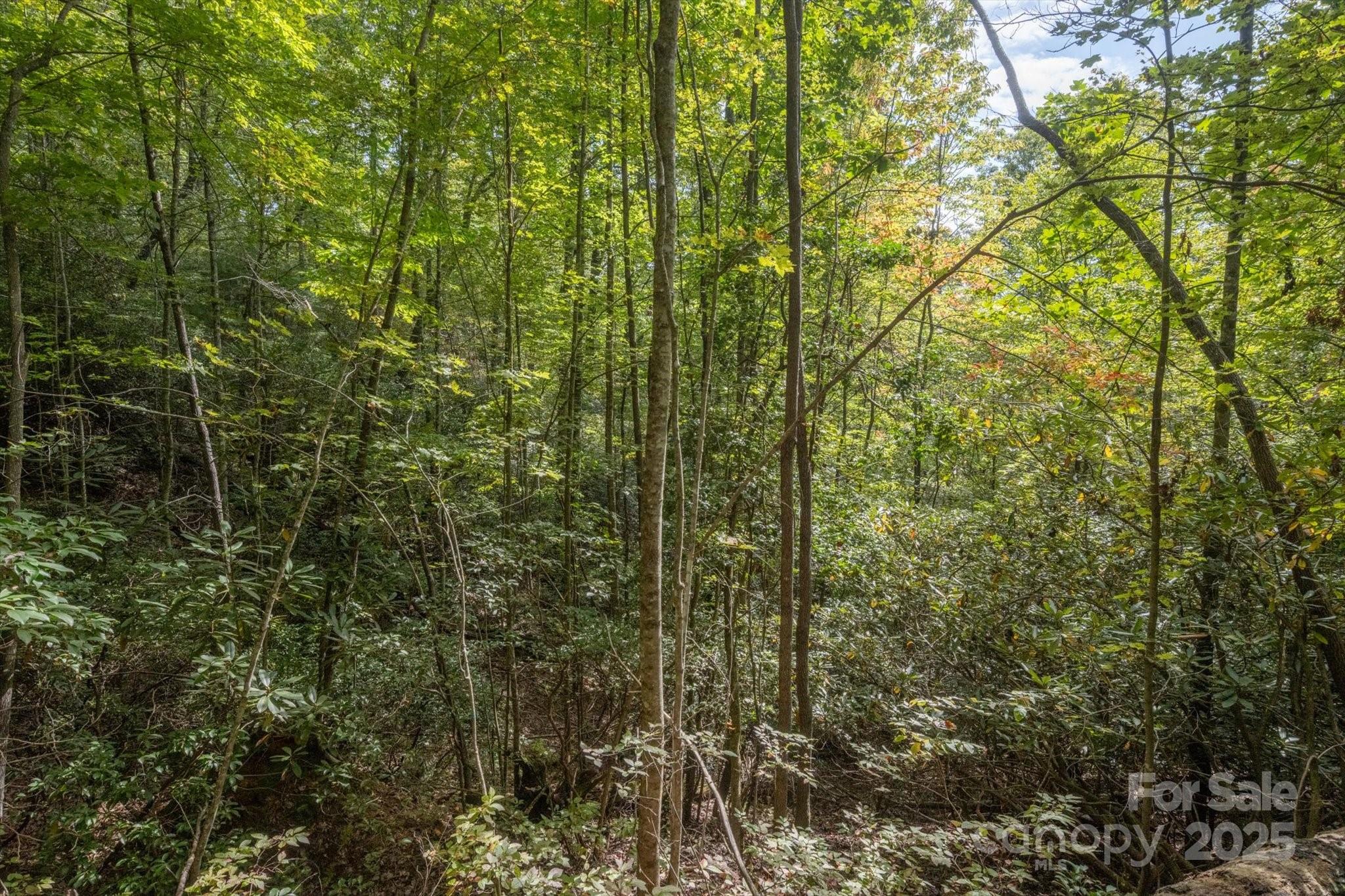 Straus Park - Land