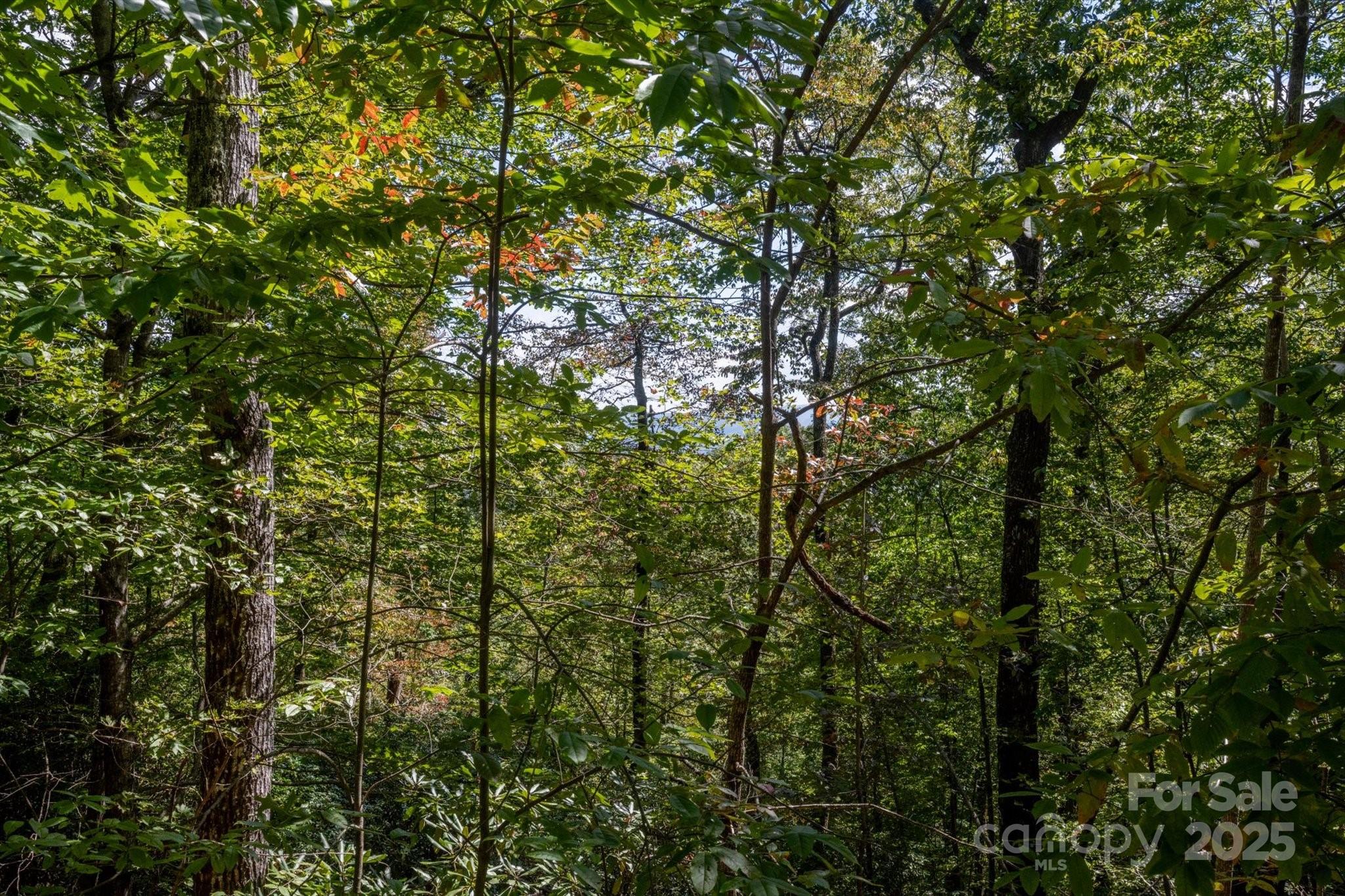 Straus Park - Land