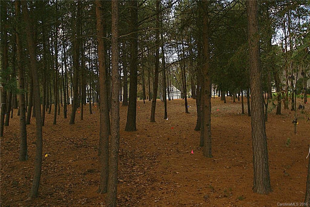 The Point - Land