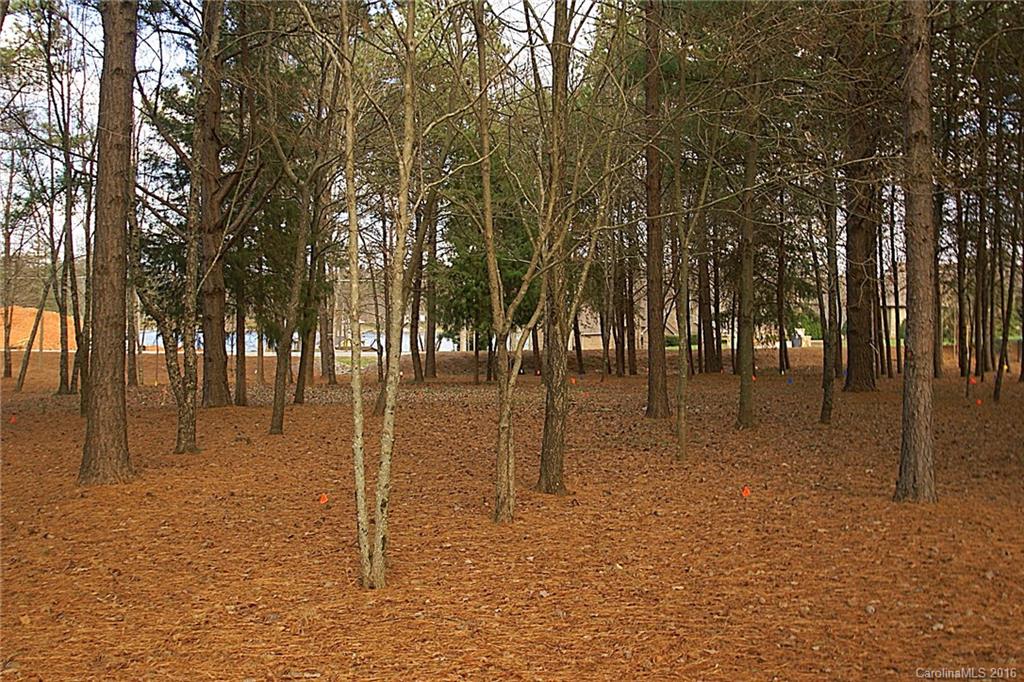 The Point - Land