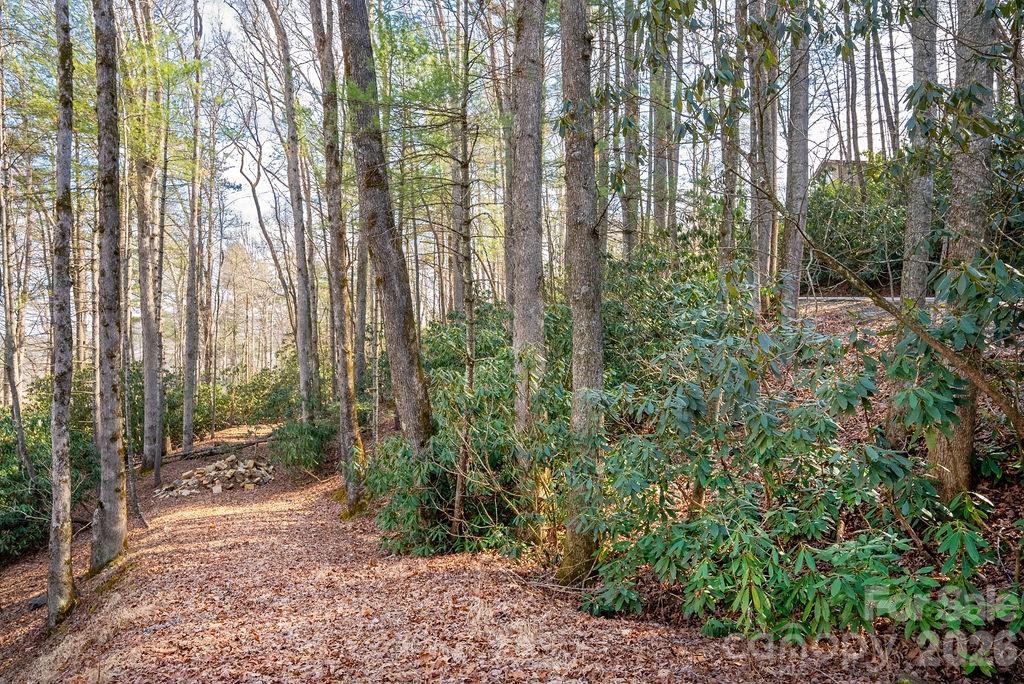 Panoramic long range views of the Blue Ridge Mountains and French Broad River Valley. This lot has an easy roughed in driveway to a great building site. The location is also superb achieving year round views without having to drive to the top of a mountain. Providing easy and convenient access to downtown Brevard, Pisgah National Forest, Dupont State Forest, and Asheville Regional Airport. You'll be close to all the amenities both recreationally and culturally that you've been seeking. It will be hard to find any view lot in this price range let alone in a great location, sweeping views, and great building site. Don't let this opportunity get away. Schedule your showing today!