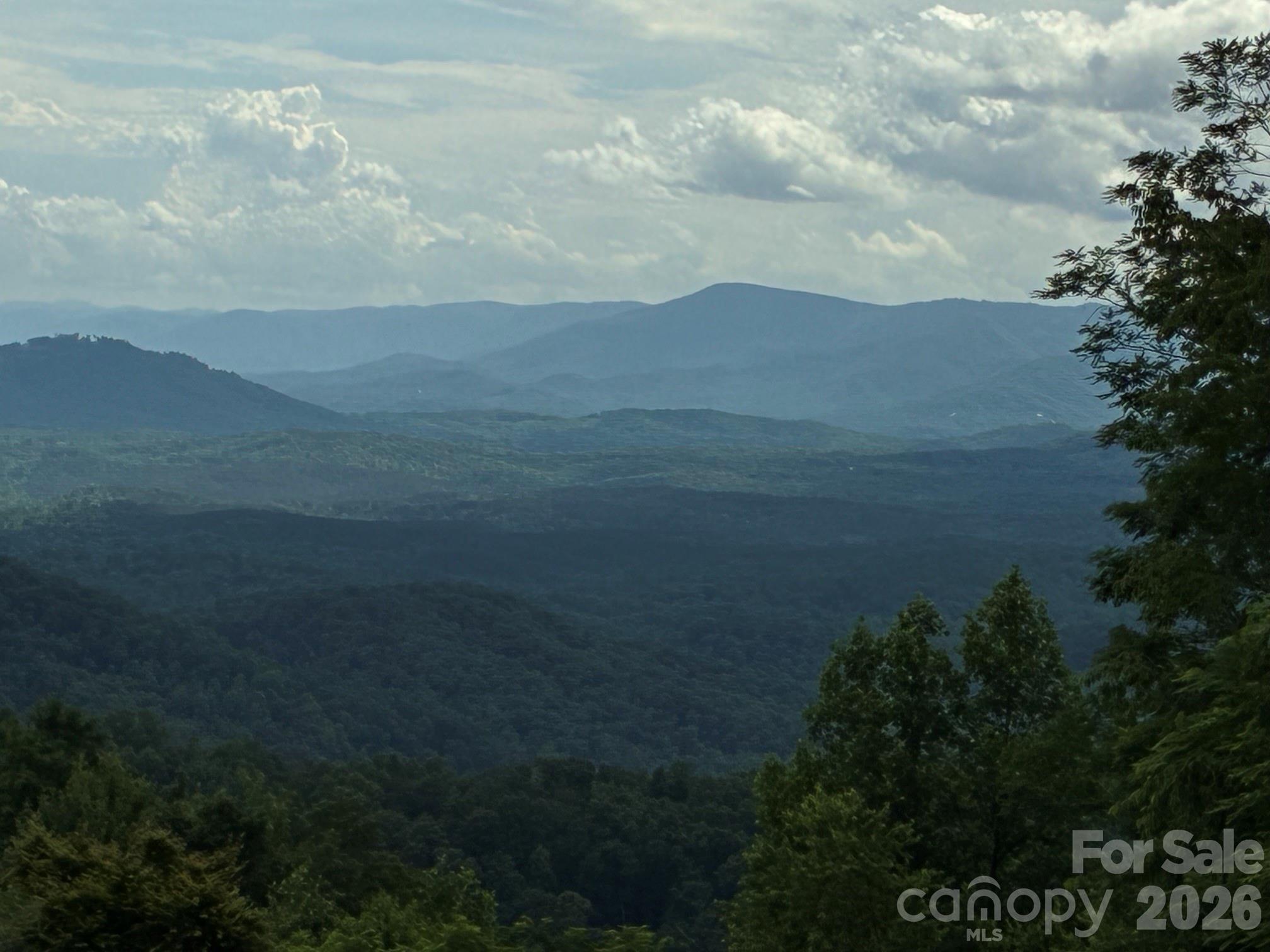 Experience stunning views at an unbeatable price! This 1.49-acre homesite offers the ideal setting for anyone dreaming of daily sunsets and uninterrupted natural beauty. Located in the gated Great Sky subdivision (formerly Queens Gap), the property features long-range mountain views, underground utilities, and public water access.

This lot stands out as a truly exceptional find. If you’ve been searching for the perfect place to build your mountain retreat, this is the one you don’t want to miss.