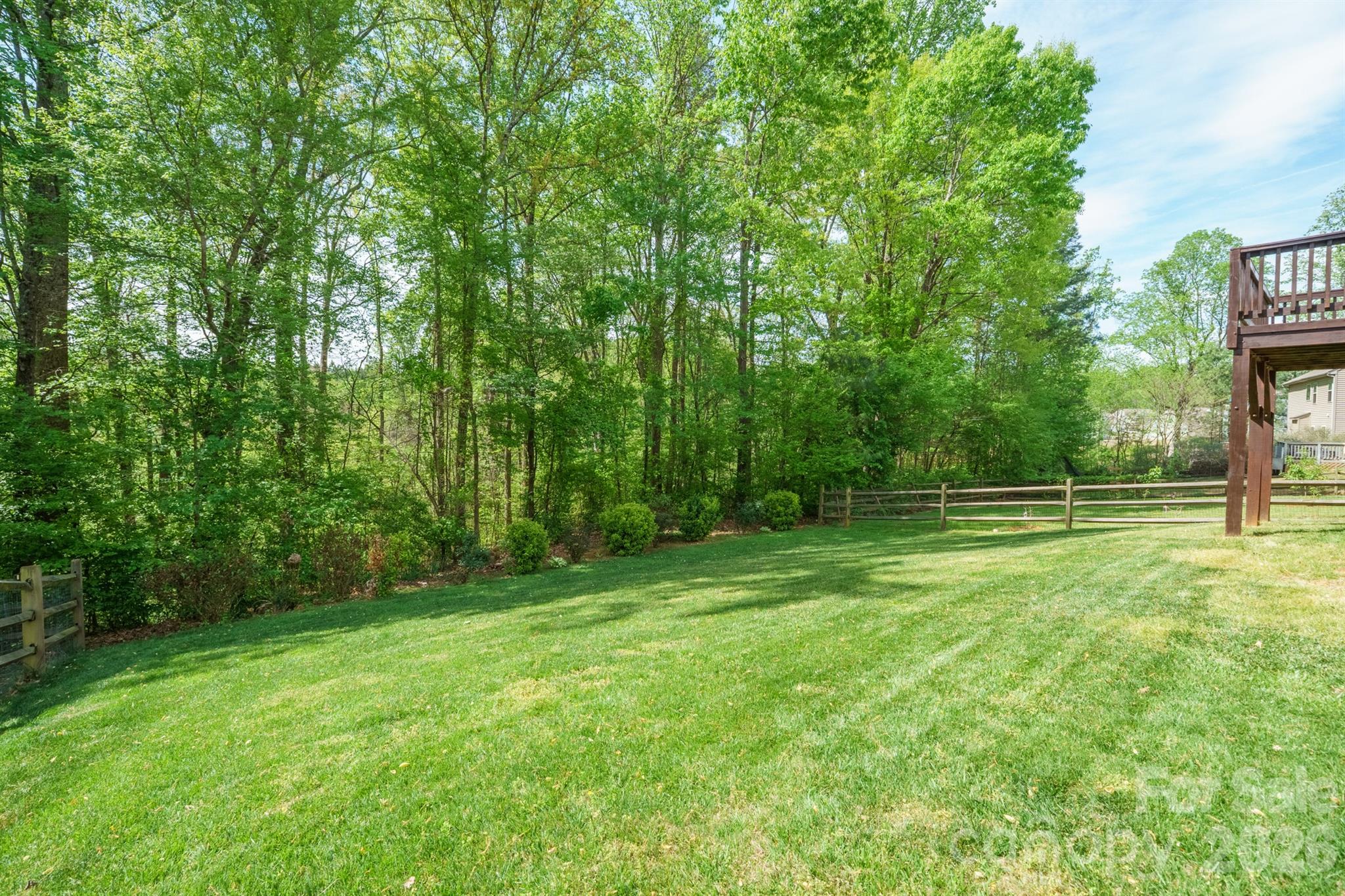 Pine Forest - Residential