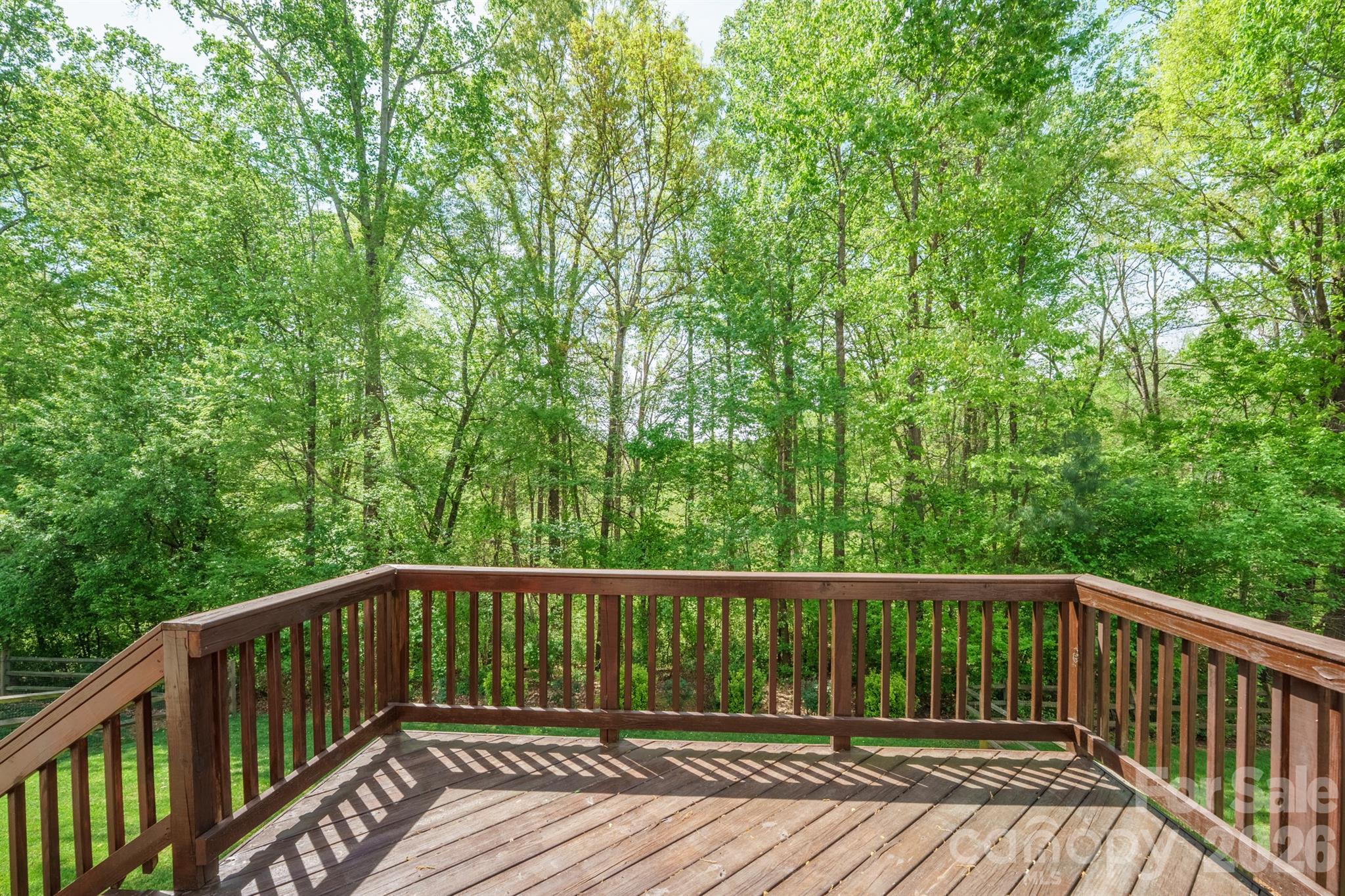 Pine Forest - Residential