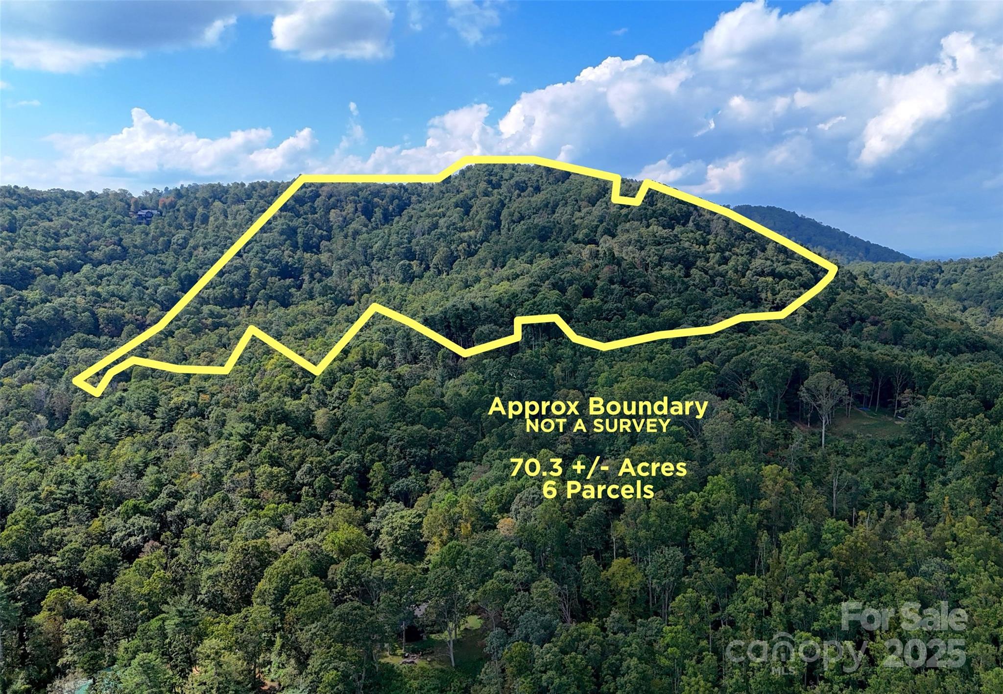 This rare, expansive 70.3 +/- acre wooded tract is tucked into a private cove in Asheville NC. The property combines woodland privacy, natural beauty, conservation opportunities, and development potential in a setting where large parcels are becoming increasingly scarce.

The land is predominantly covered in an upland hardwood forest, with multiple small streams/creeks weaving through the terrain, creating a serene mountain atmosphere. About 10 acres of lower cove offer gentle, usable topography, ideal for building, recreation, or gardening. A paved driveway leads to a former home site, once the location of a manufactured home with additions (no contributory value), and underground electricity is already in place, offering valuable infrastructure for future development. A second access follows an interior finger ridge all the way to the top of the property, where a beautiful saddle-shaped ridgeline opens up to panoramic views across Bearwallow Mountain, Little Pisgah Mountain, and layered Blue Ridge peaks. This ridge on the property has about 5 acres of mountain top gentle topography.

With selective clearing, long-range vistas can be revealed throughout the tract, while overgrown logging roads and trails offer potential for hiking paths, riding trails, or expanded access. The property’s primary orientation is southeast-facing, with a portion northeast-facing, ensuring excellent sunlight as well as shaded woodland diversity.

Zoned Residential Low-Density District (R-LD) with steep slope and protected ridgeline overlays, this parcel invites both creativity and stewardship. Prior conceptual designs envisioned subdividing into multiple 10+ acre lots, while others may see it as the perfect site for a legacy estate retreat.

Though it carries an Asheville mailing address, the land lies outside city limits, subject only to Buncombe County and Reynolds Fire Dept taxes, not city taxes. Access is via a 30’ right-of-way on White Oak Gap Road (private), with potential additional easements from Smokey Road (private) per prior surveys.

Whether you imagine a private mountain sanctuary, a multi-home family compound, or a carefully planned estate subdivision, this extraordinary acreage offers a versatile canvas in one of Western North Carolina’s most sought-after regions.