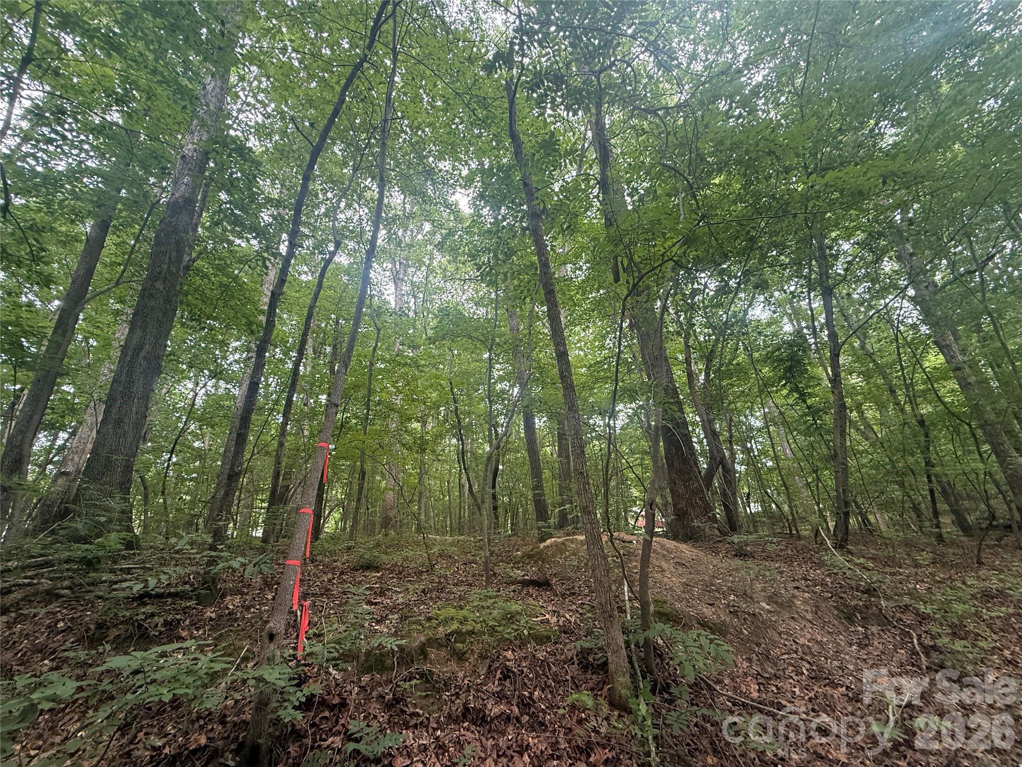 Prime 0.47-acre lot available within the city limits of Troy. Lot C offers an excellent opportunity for builders, investors, or anyone looking to establish a home in a convenient location with easy access to municipal amenities. City water is accessible, subject to the standard town tap-on fee. A soil and elevation test is needed prior to building to determine the best site layout and foundation planning.