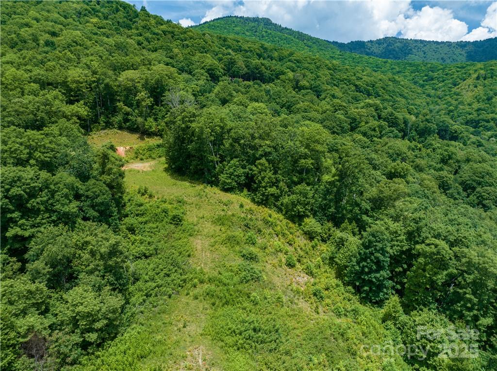 Sylva Vista Development - Land