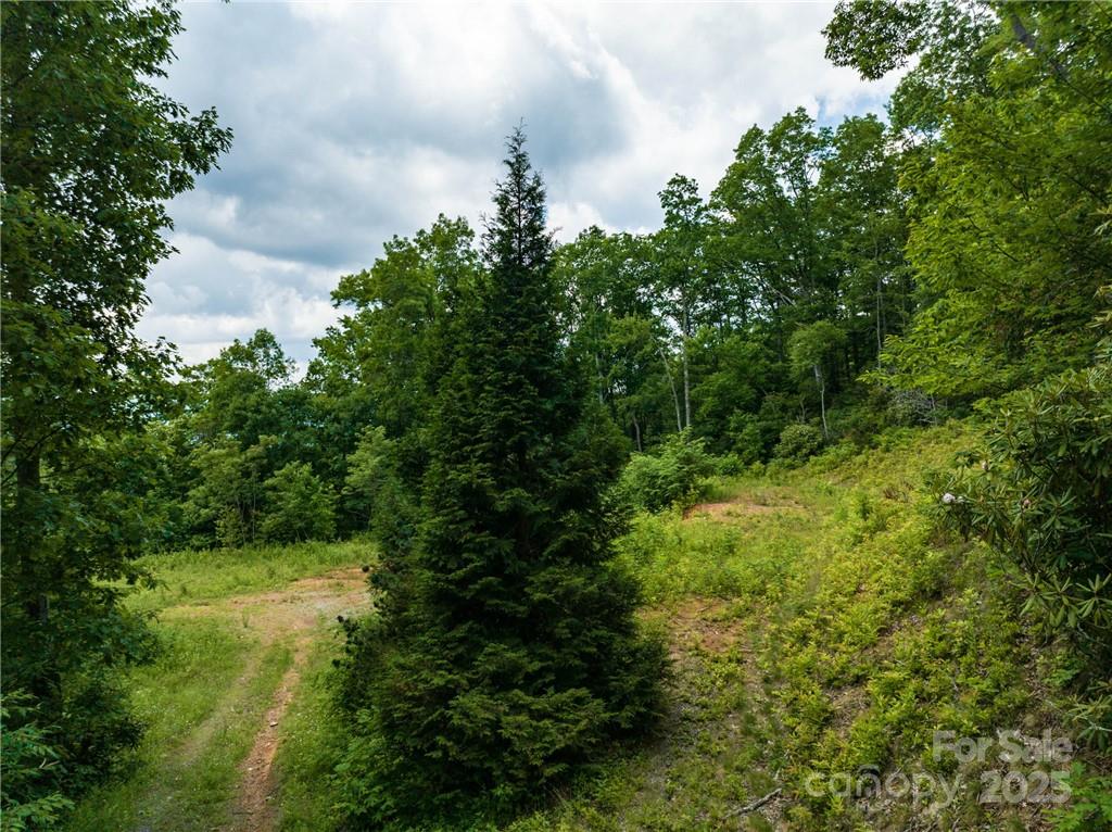 Sylva Vista Development - Land