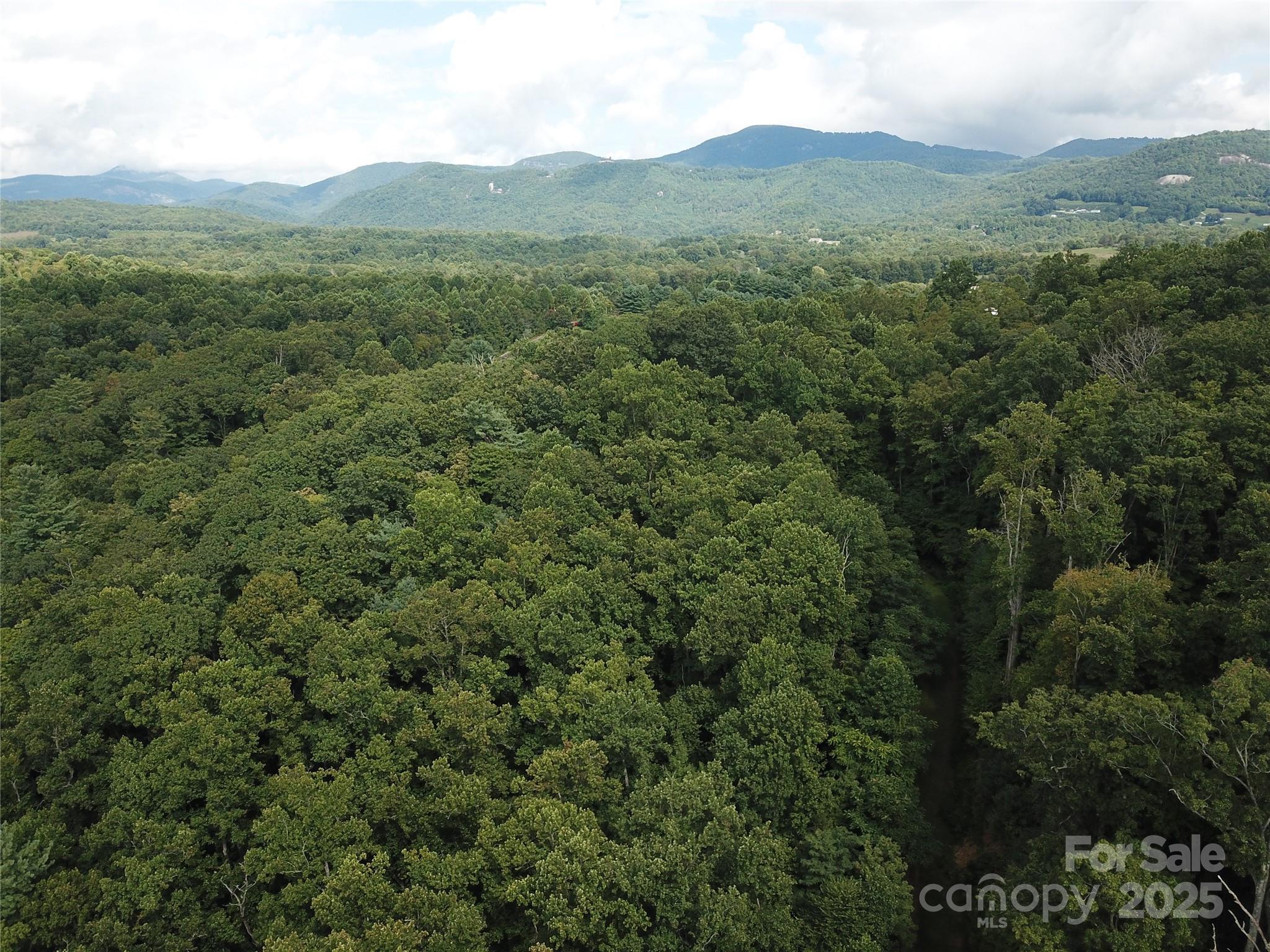 8.59+/- acres located in the Bearwallow Glen Development off Bearwallow Road. Possibly divide into 3 lots or have a very private building location with nice entrance through Bearwallow Glen. Potential for great views from build site at end of current road. Subject is under deed restrictions for Bearwallow Glen. Adjoining Lot #5 also available, see separate listing.