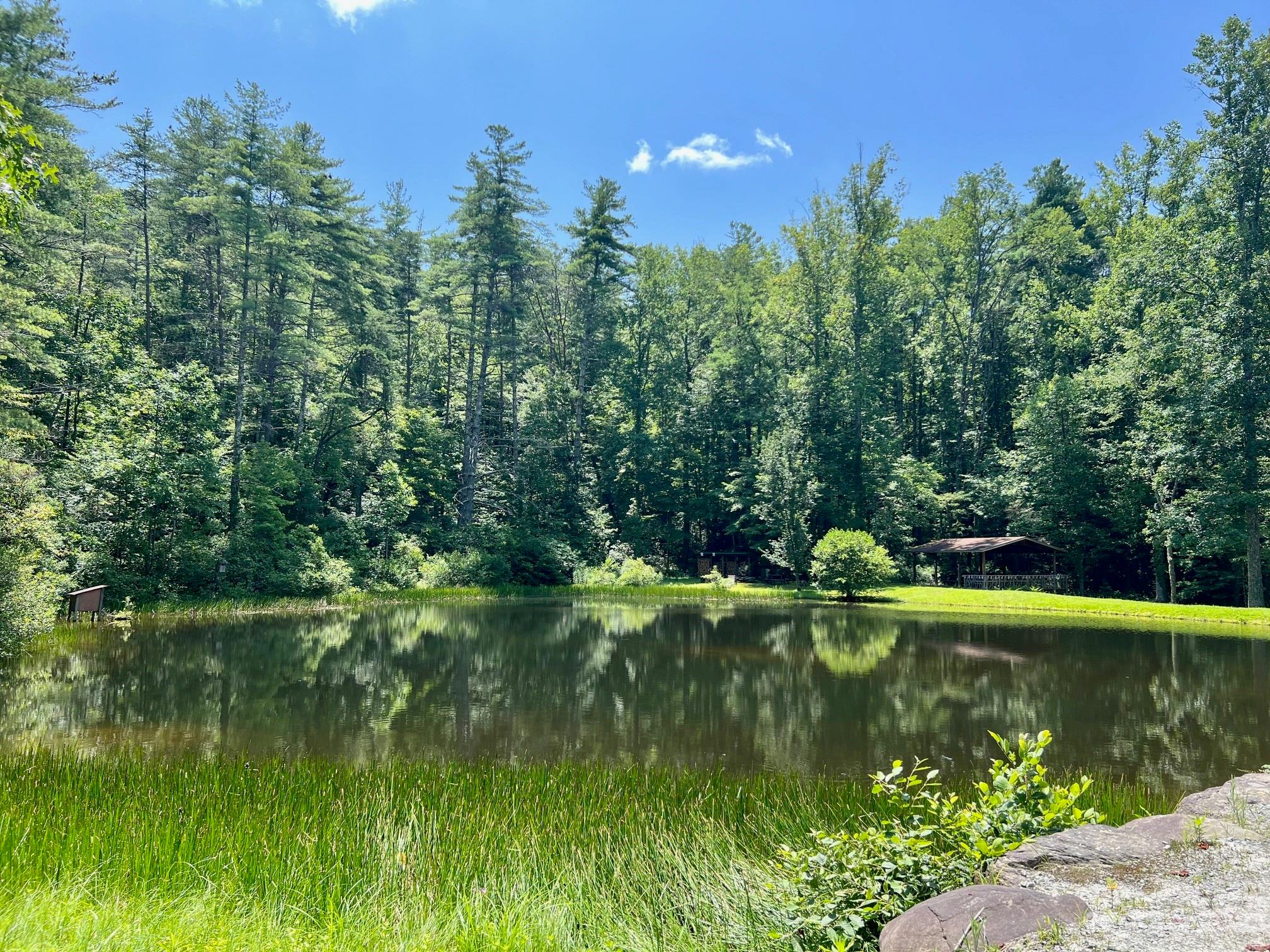 Round Mountain - Land