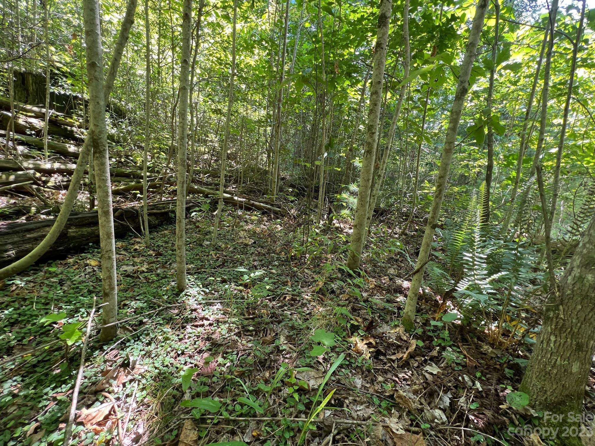 Round Mountain - Land