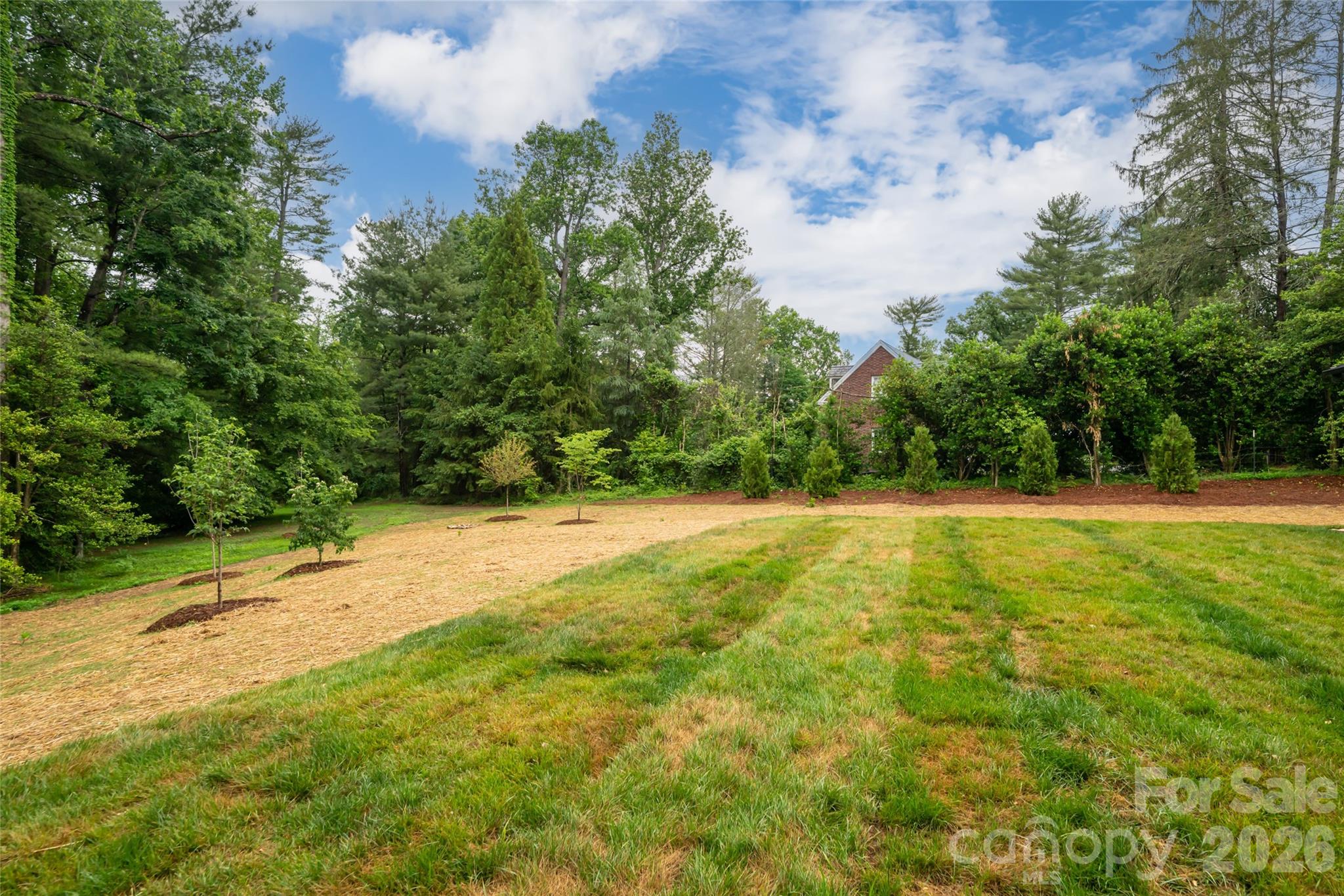 Biltmore Forest - Residential