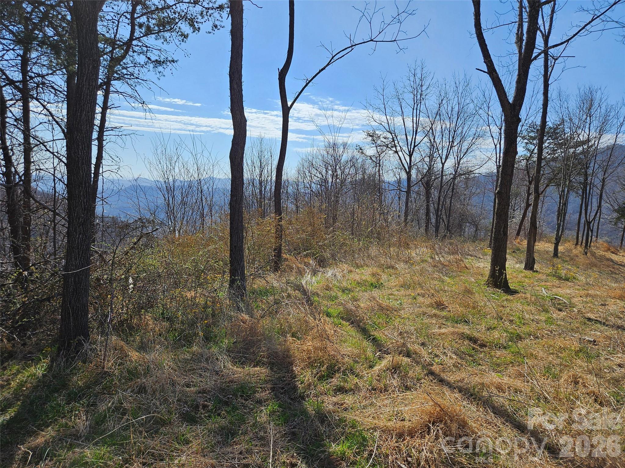 The Summit Of Asheville - Land