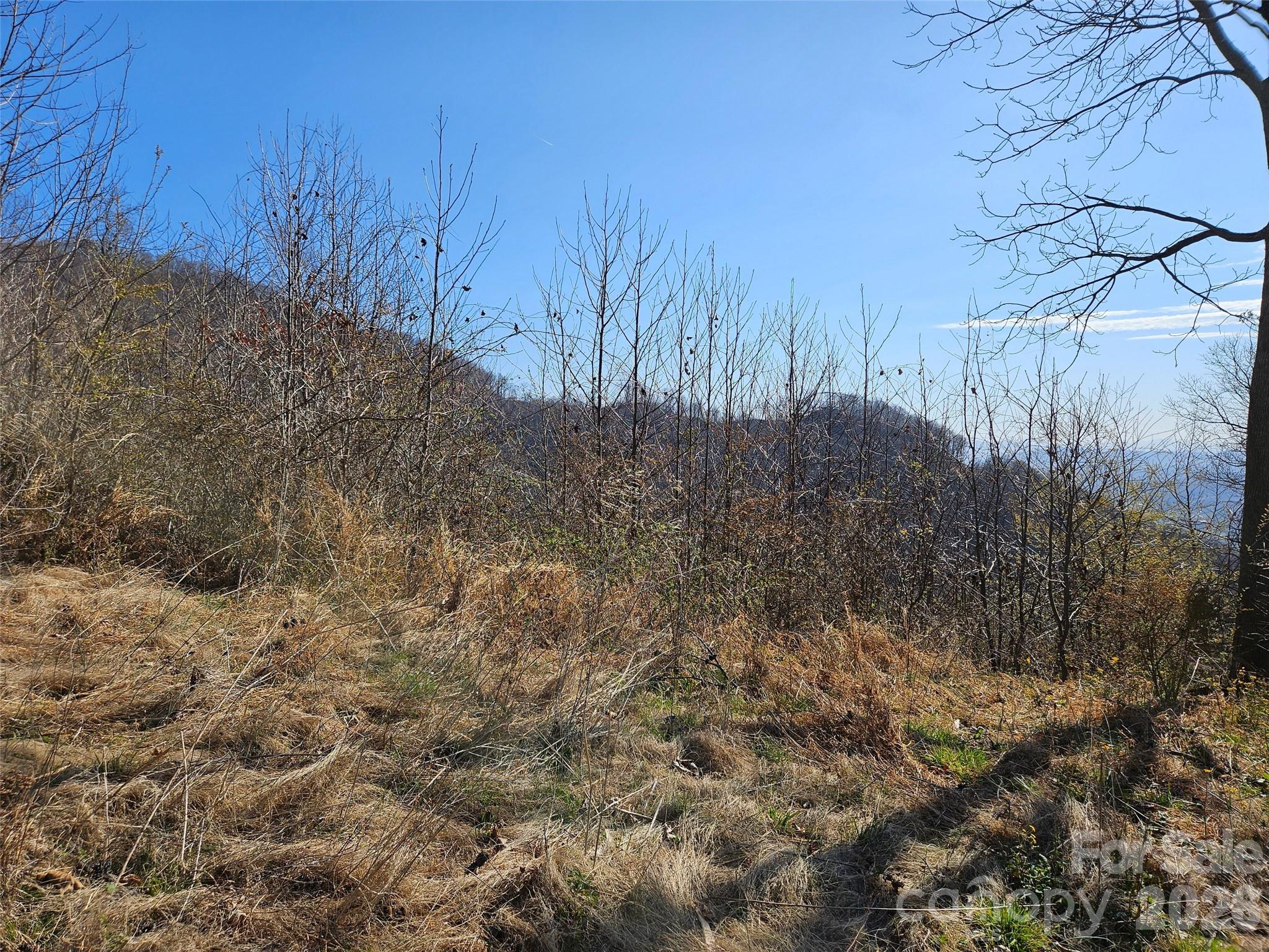 The Summit Of Asheville - Land