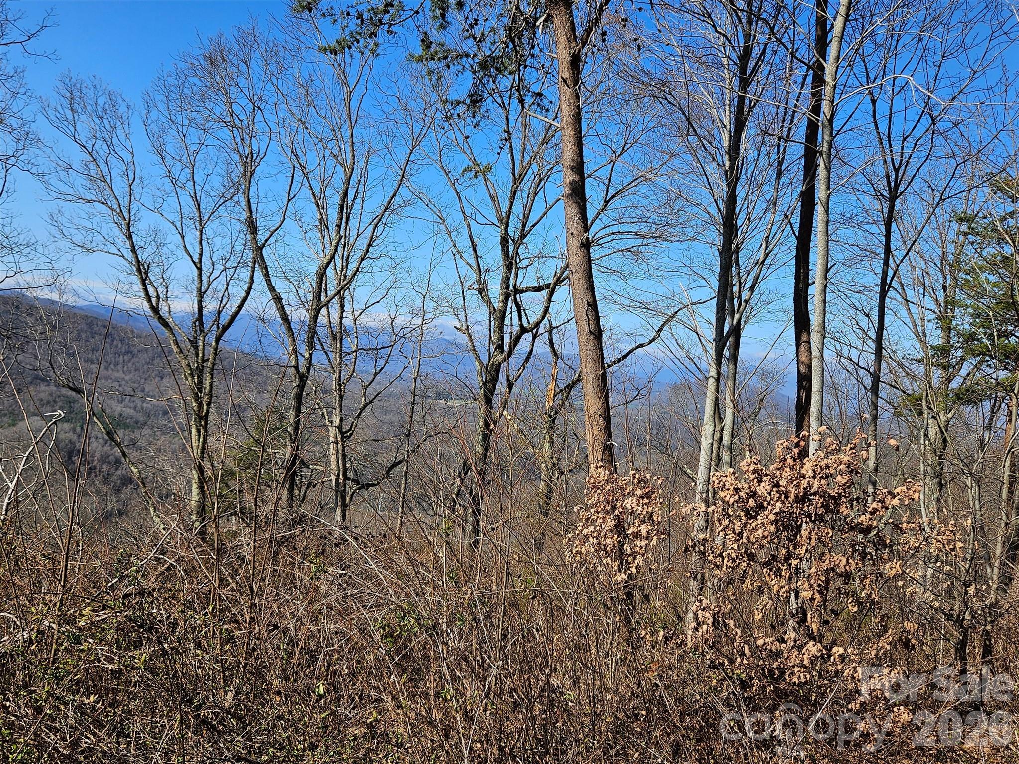 The Summit Of Asheville - Land