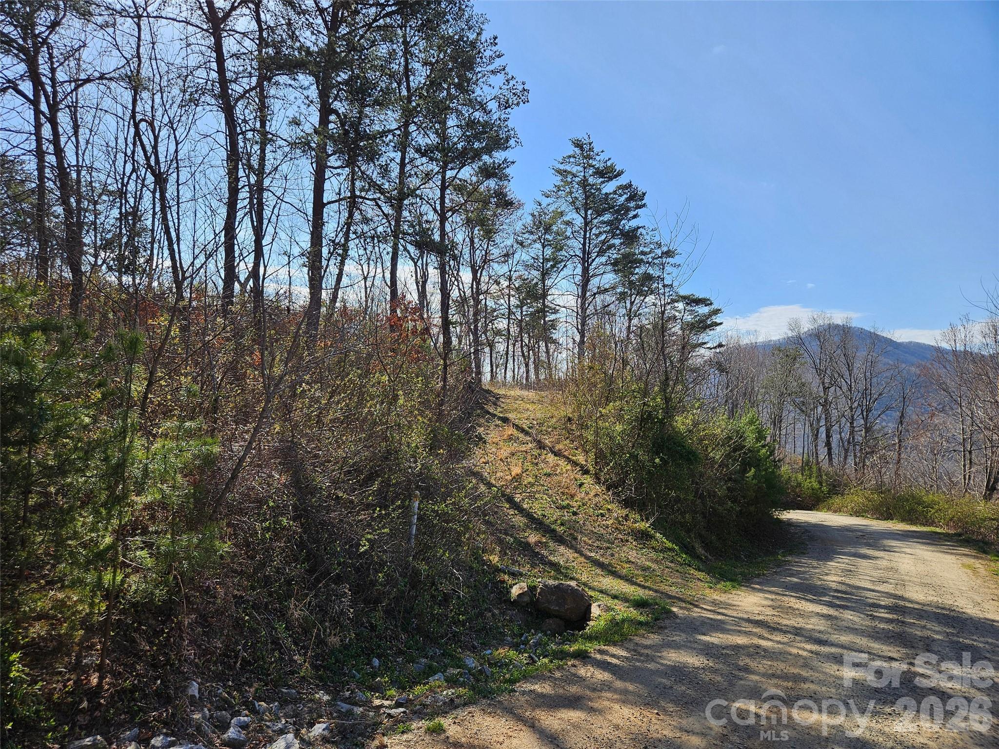 The Summit Of Asheville - Land