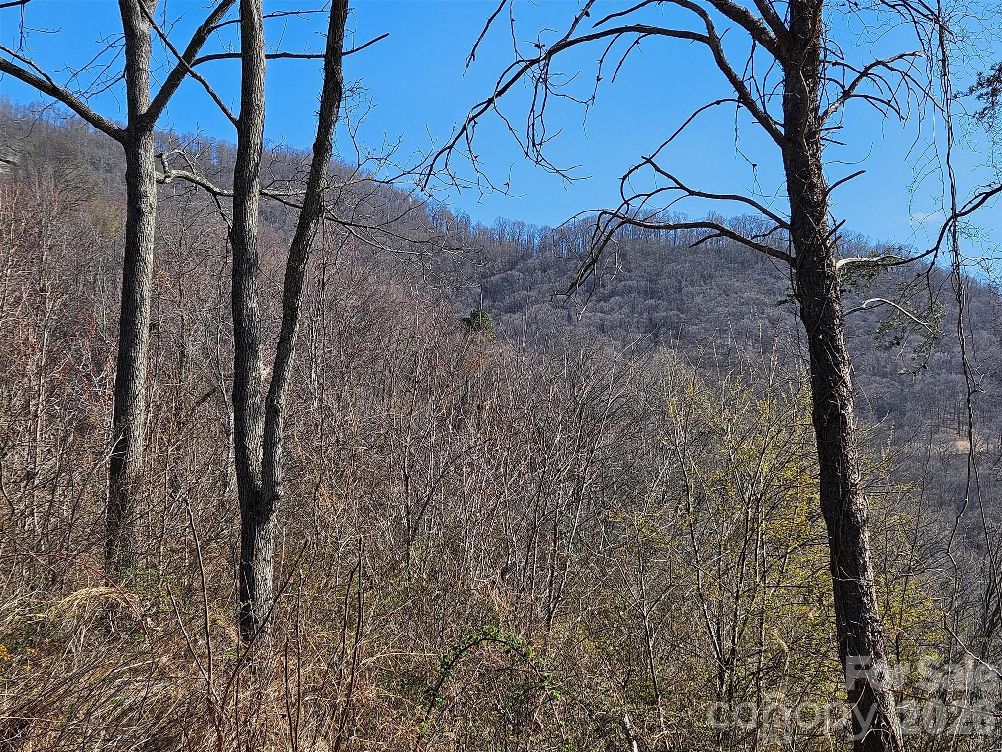 The Summit Of Asheville - Land