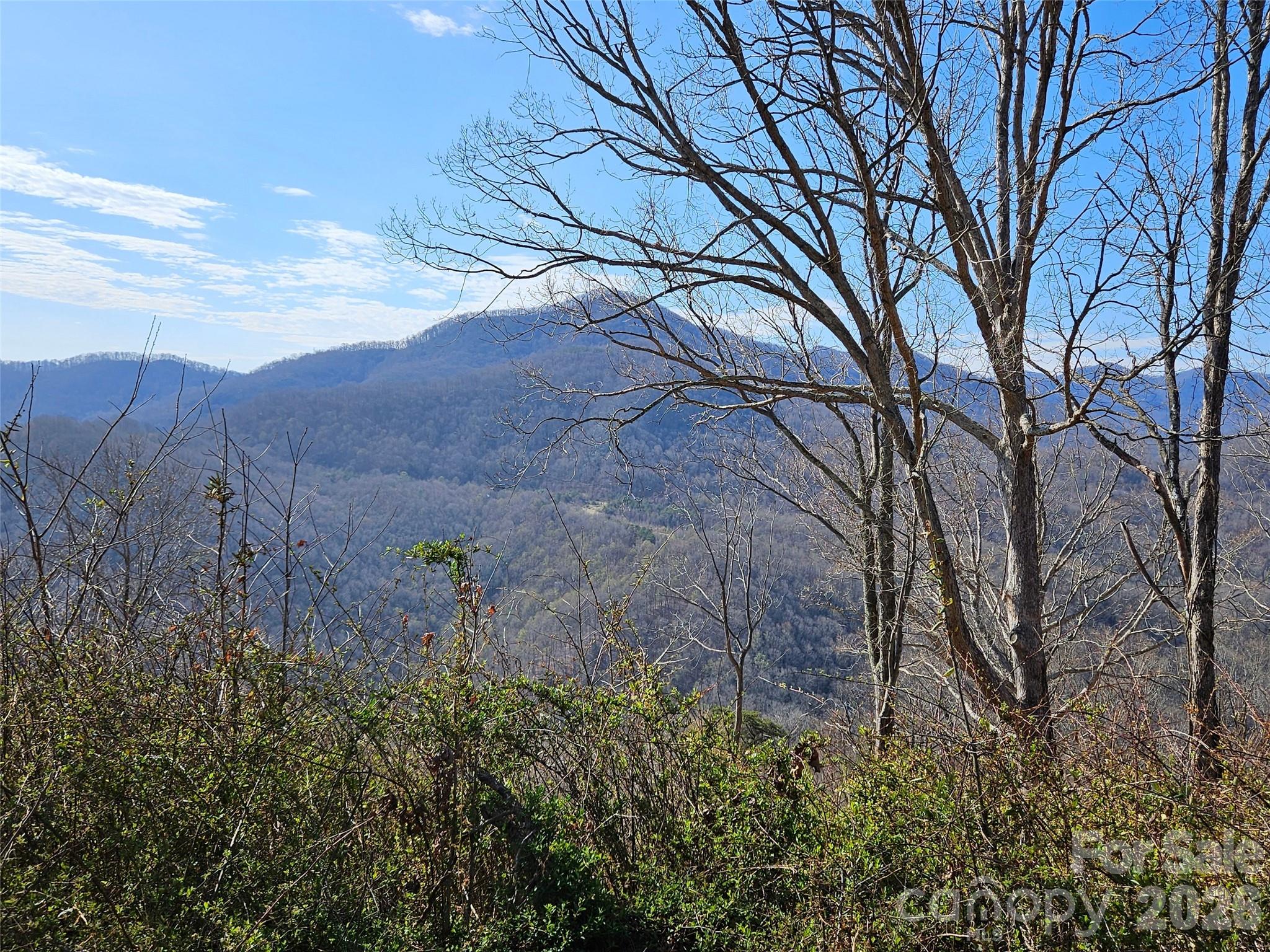 The Summit Of Asheville - Land