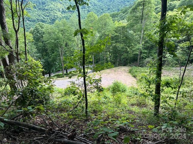 Villages of Plott Creek - Land