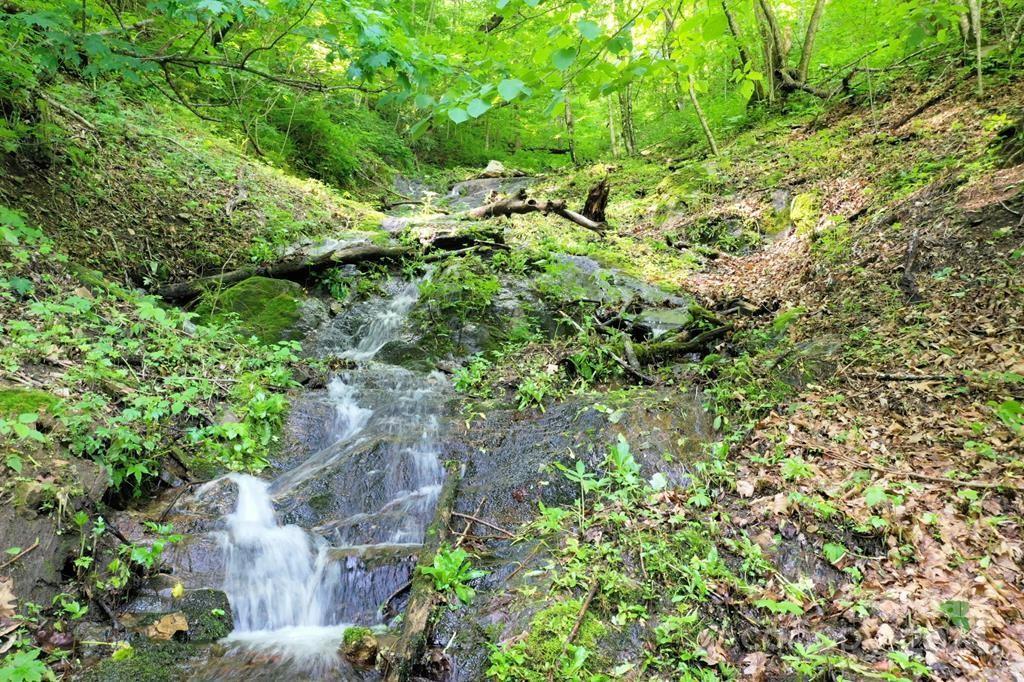 Villages of Plott Creek - Land