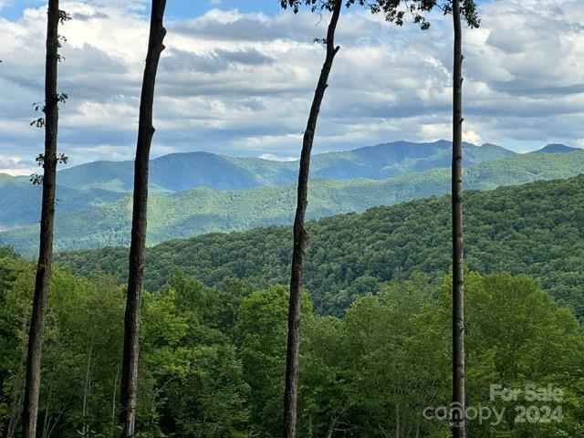 Embark on a journey of luxury living across 11.3 acres within the prestigious gated community of Villages of Plott Creek.  Nestled amidst the splendor of nature, these three lots offer unrivaled long-range views, a serene cascading stream, and a picturesque waterfall.  Explore private walking trails, community hiking trails and picnic pavilion, all accessible via meticulously maintained paved subdivision roads. A driveway and parking area have already been put in place. Your oasis awaits amidst the harmonious blend of elegance and natural beauty.