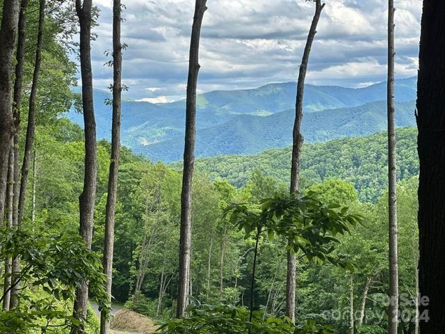 Villages of Plott Creek - Land