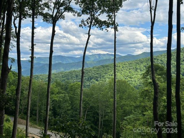 Villages of Plott Creek - Land