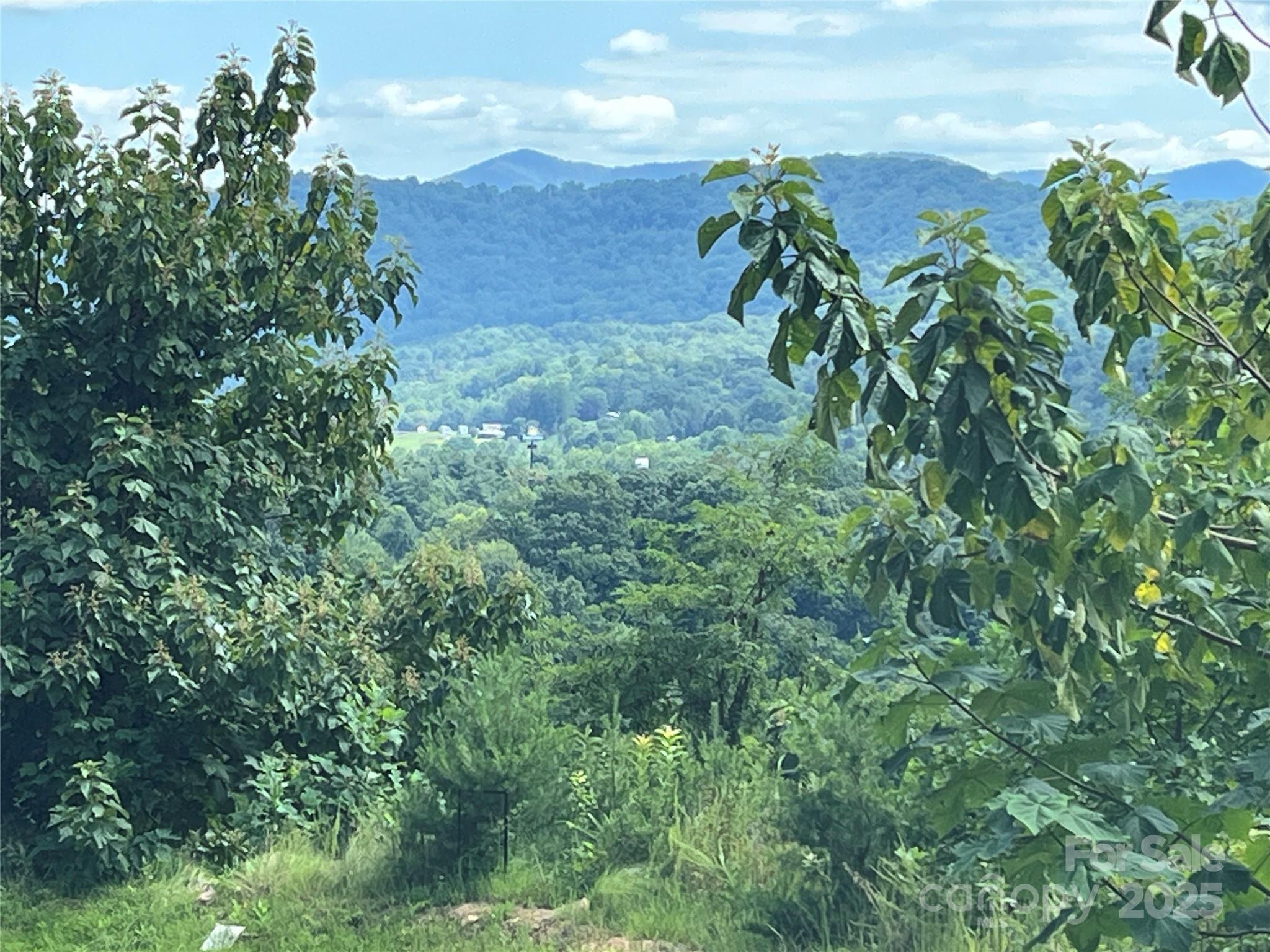 The Summit of Asheville - Land