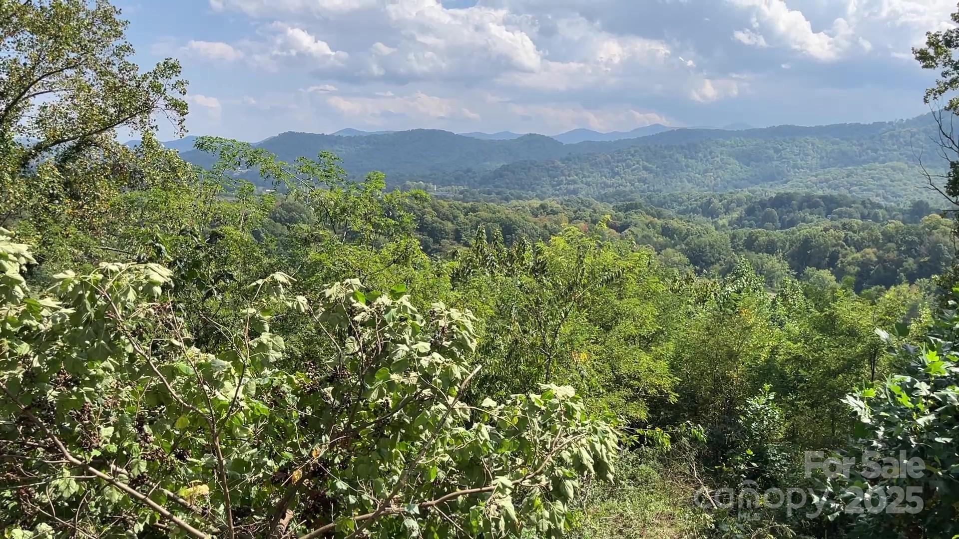 Best value in The Summit!  Priced $25k below tax value.  Excellent mountain views WITH a FLAT building site.  Just below the for sale sign you will see a partially cleared, flat building site with outstanding views.  Over 1,500+ feet of paved road frontage provides multiple options for driveway placement.  There is a former logging road that can be used as the base for a driveway to the build site.  (Not all lots in the community are on pavement, so this one is special.).  A walking path is cut in about 50' to the left of the for sale sign, and can be used to easily walk onto the building site.  This property is conveniently close to the entrance, thus you don't have to drive a mile in to get a view.   Just a couple minutes to I-40 and then easily into West Asheville or Waynesville.  Covenants allow for a primary house and guest house.  Gated entrance and small community garden area set the tone.  Things are picking up with two more houses nearing completion in the community.  This listing is absolutely the best value in the community!