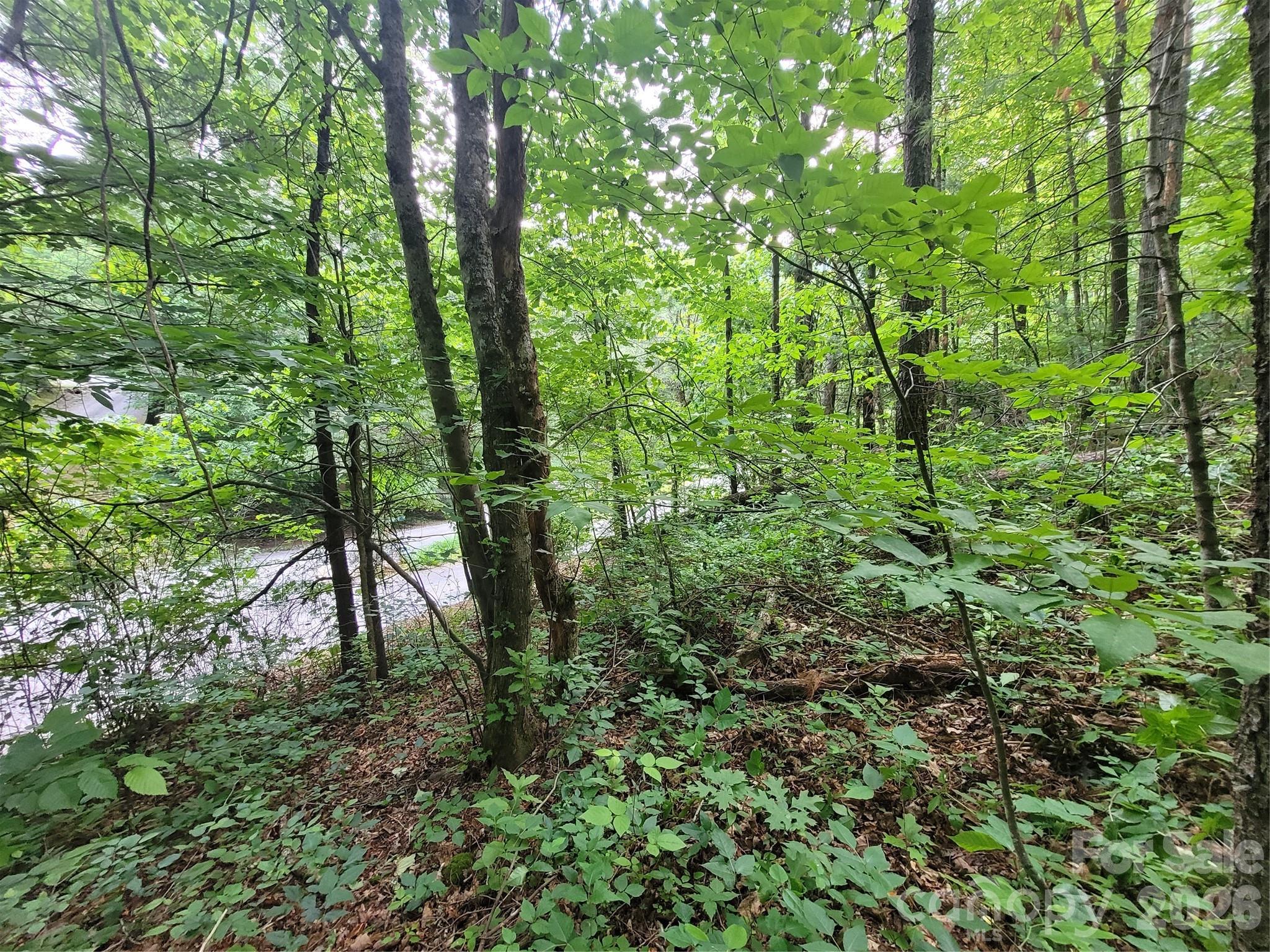 Rivers Edge - Land
