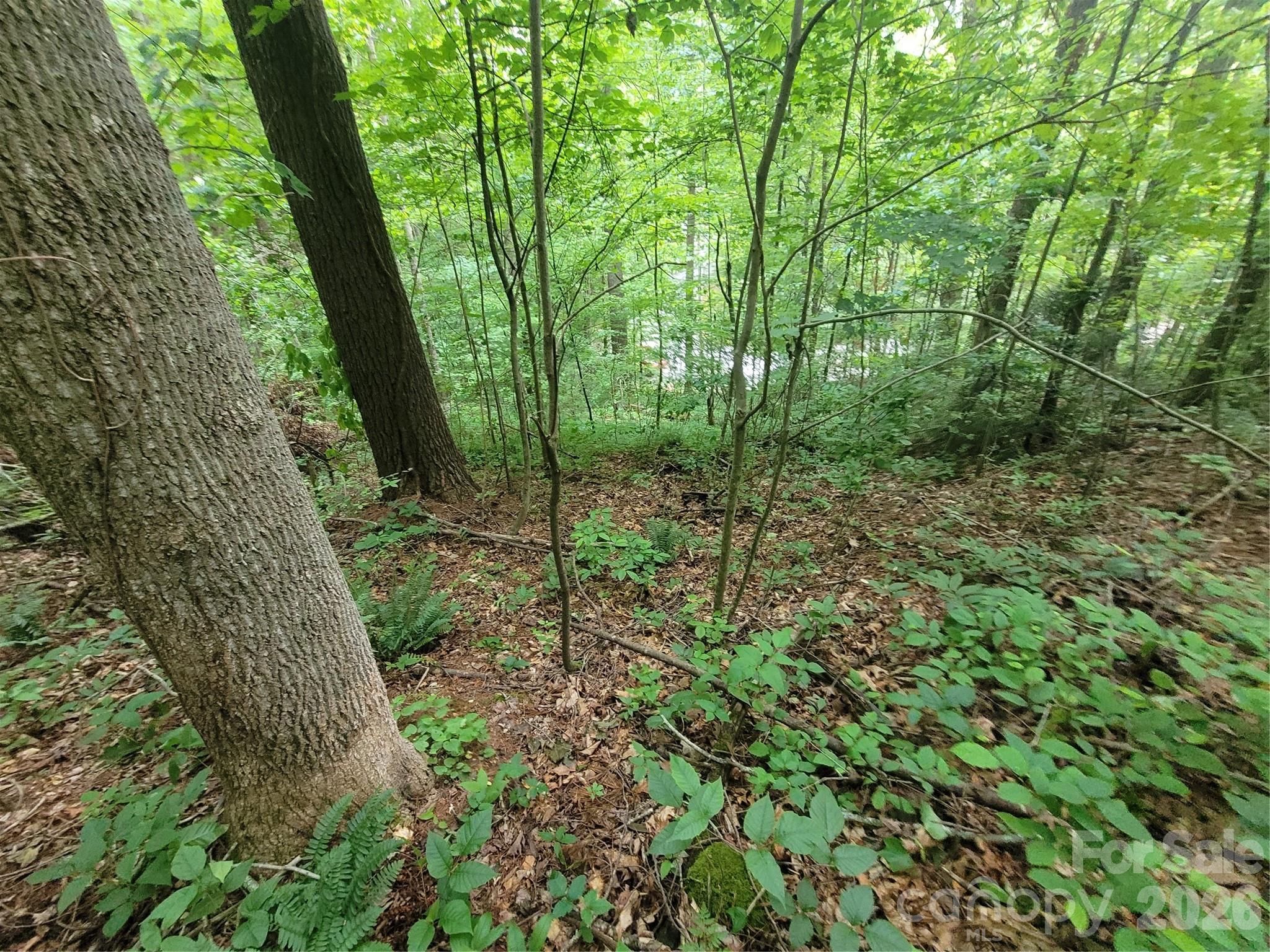 Rivers Edge - Land