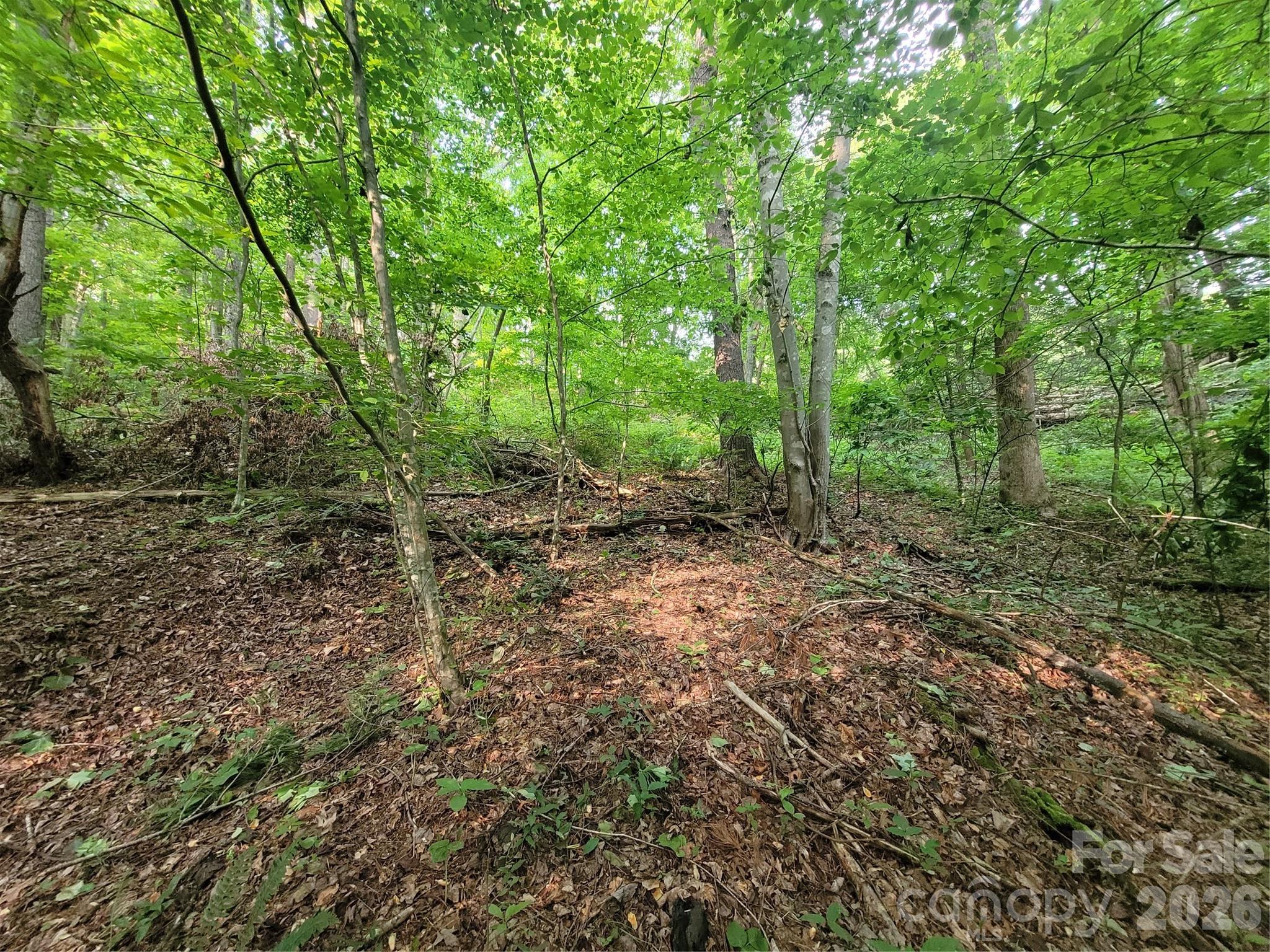 Rivers Edge - Land