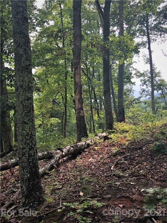 Lure Ridge - Land