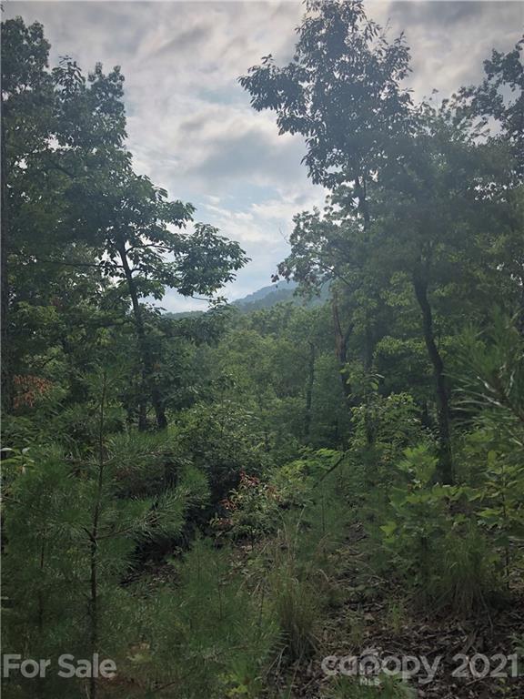 Lure Ridge - Land