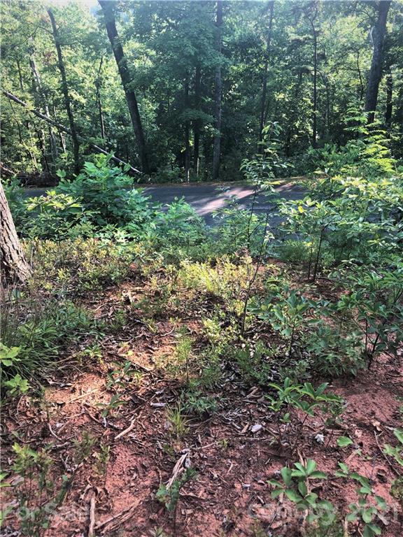 Lure Ridge - Land