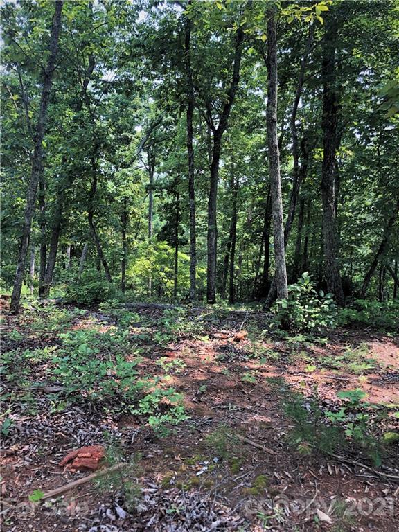 Lure Ridge - Land