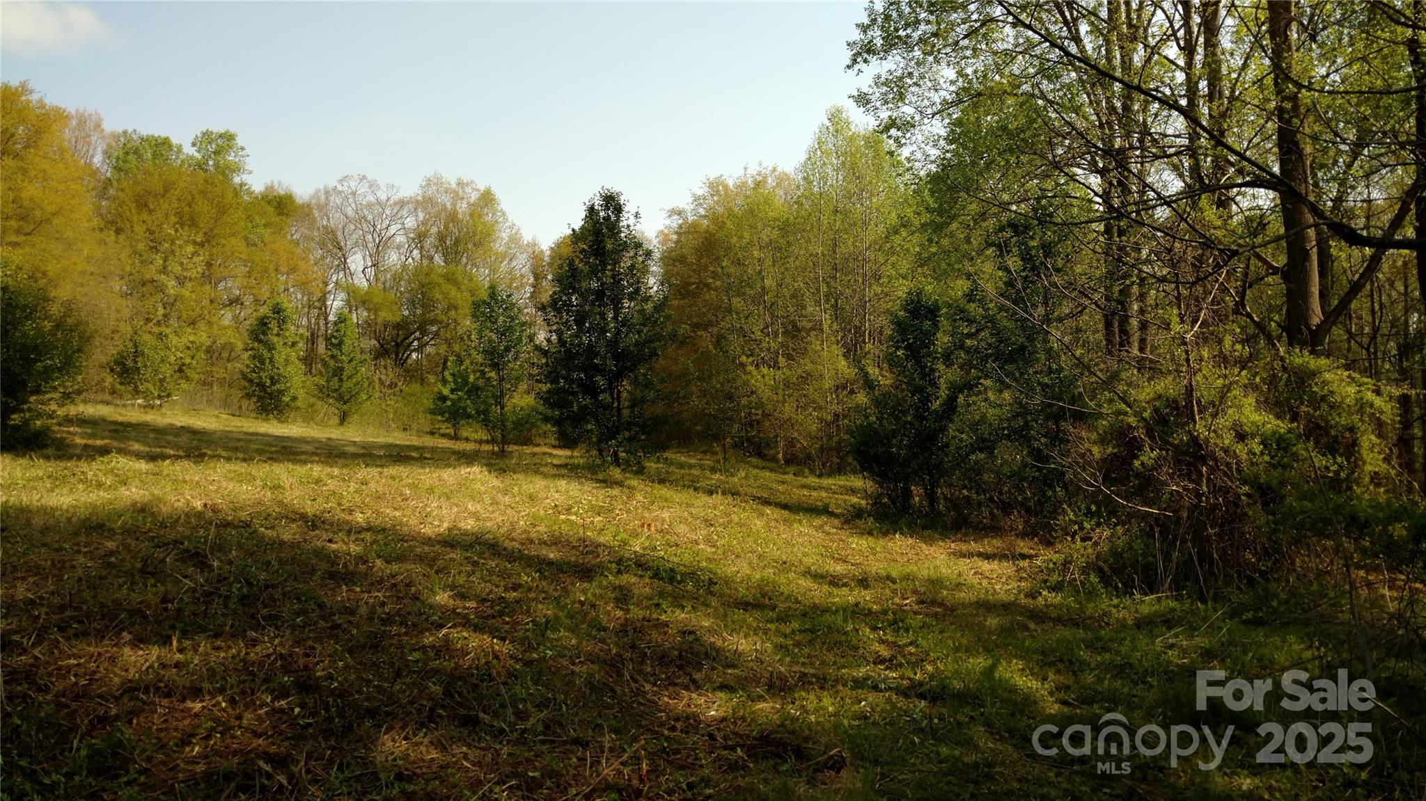 Twin Oaks - Land
