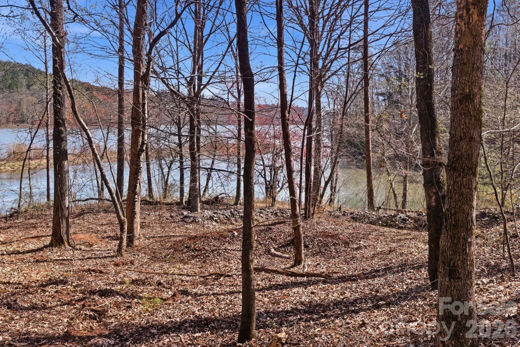 Lake Rhodhiss Estates - Land