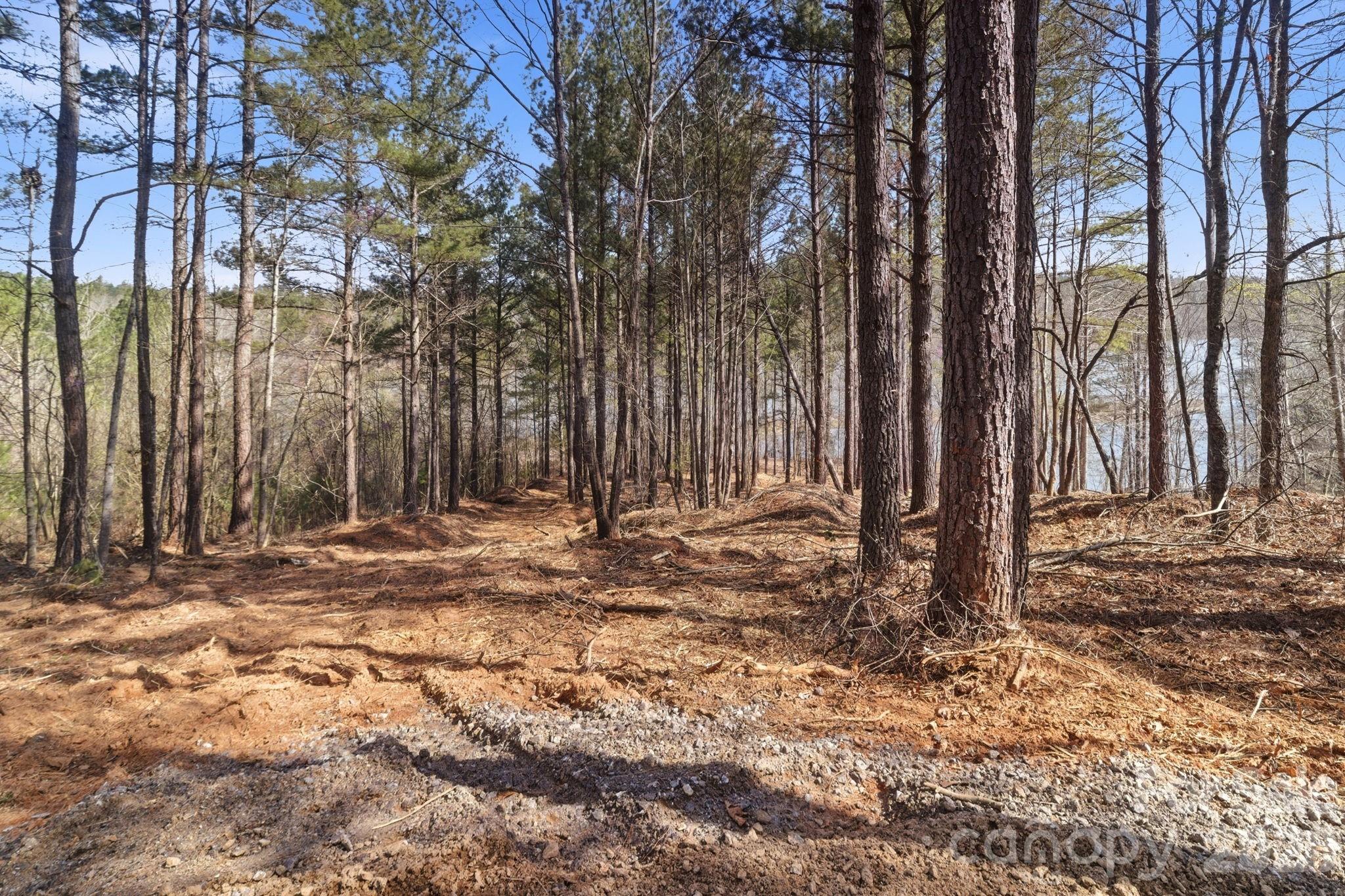 Lake Rhodhiss Estates - Land